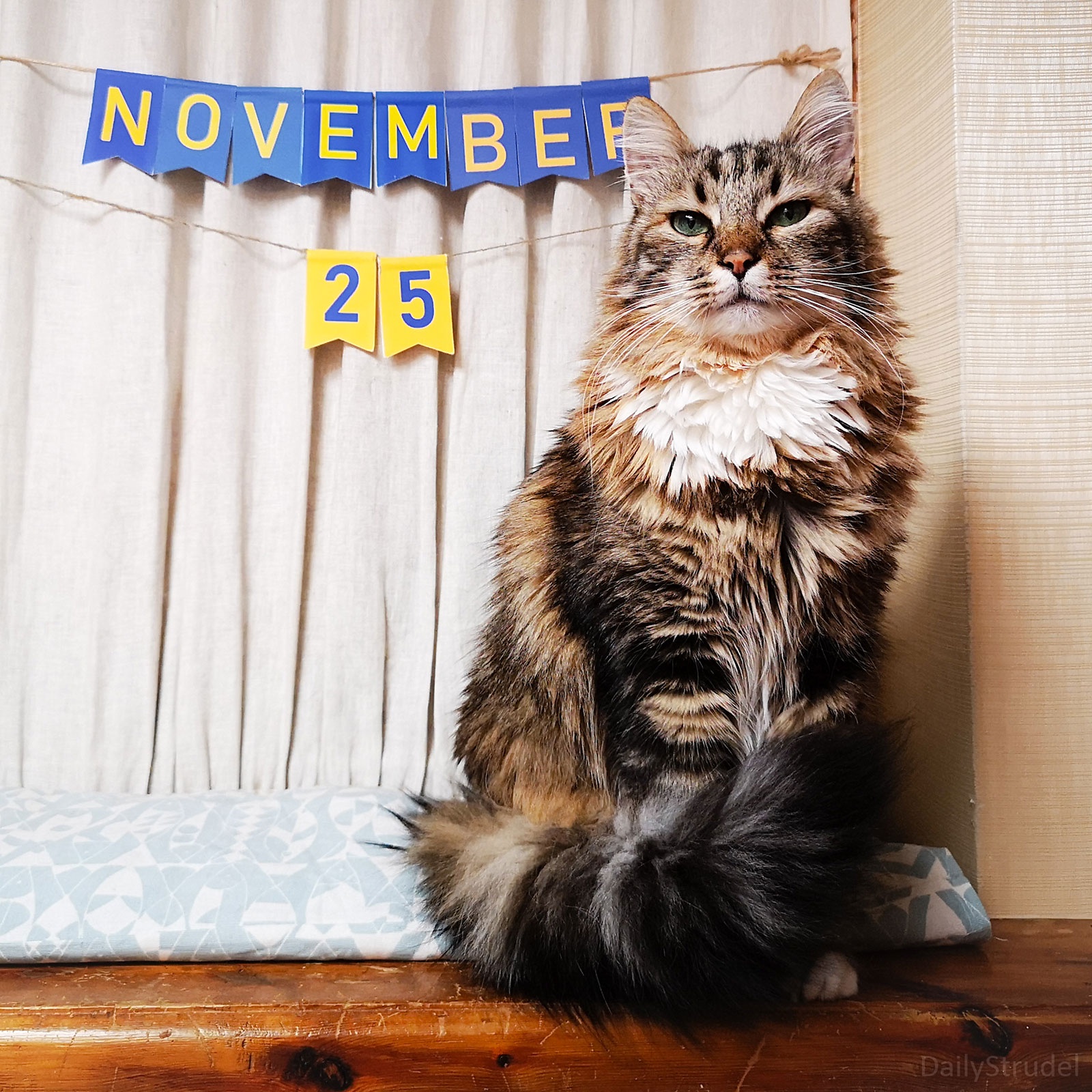 Mark Your Calendars: November 25