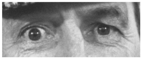 Test Your Eyes with This Fun Challenge