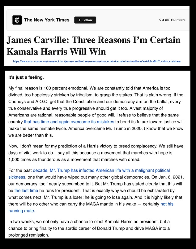 James Carville on the Rationality of Americans