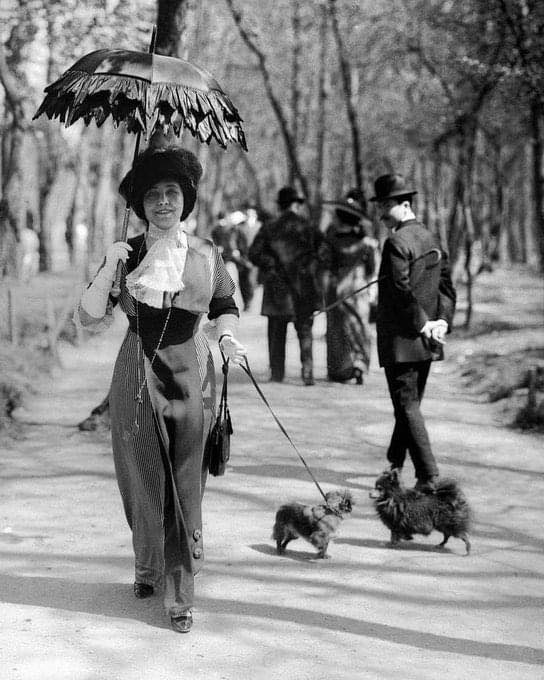 A Glimpse into 1910: A Woman Walking Her Dog in Paris