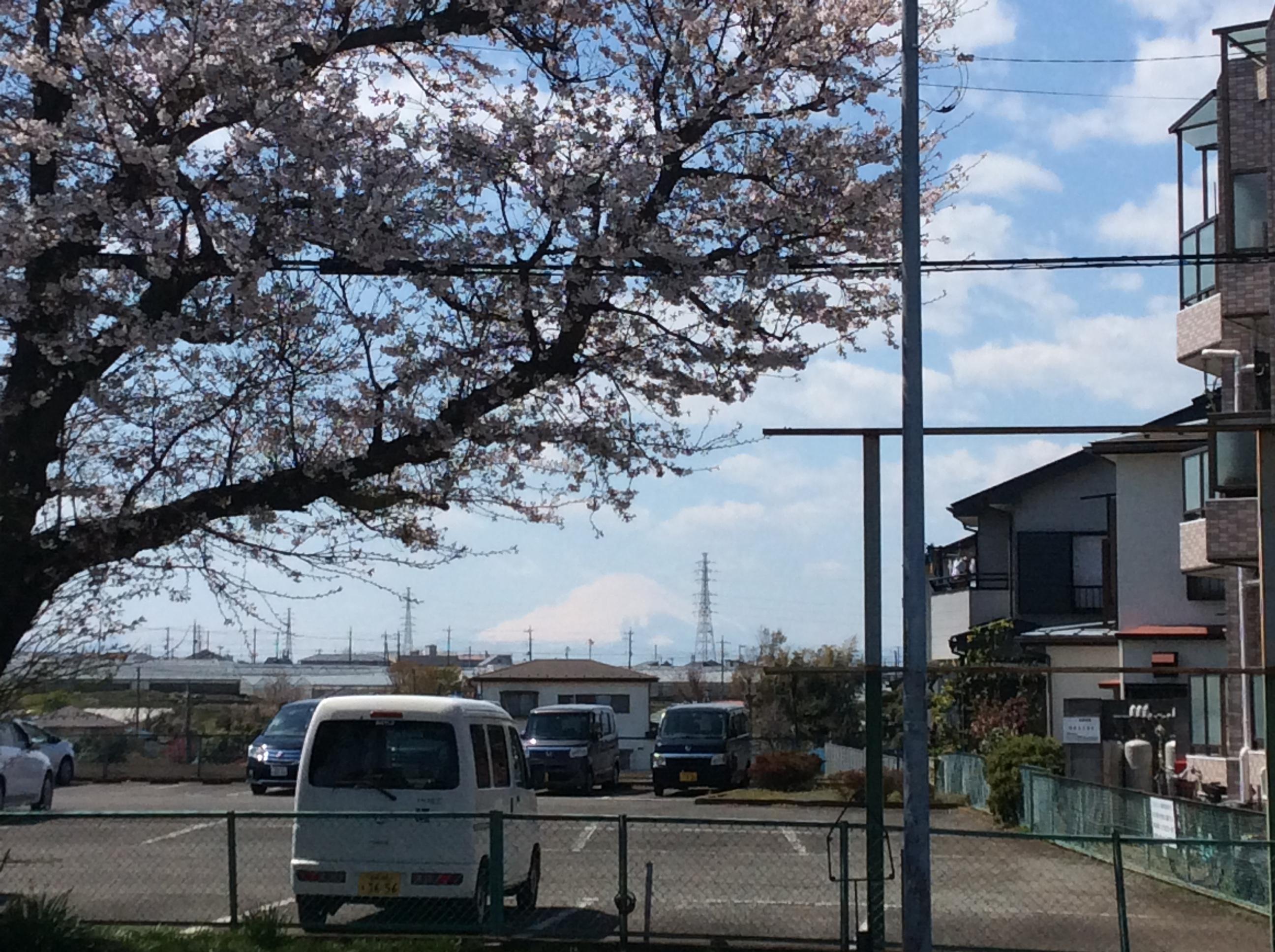 Exploring the Mystery of a Parking Lot
