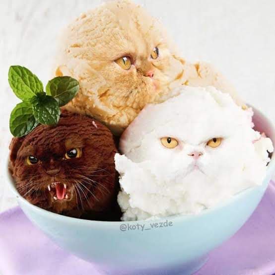 I'll Take a Scoop of Calico in a Waffle Cone, Please!