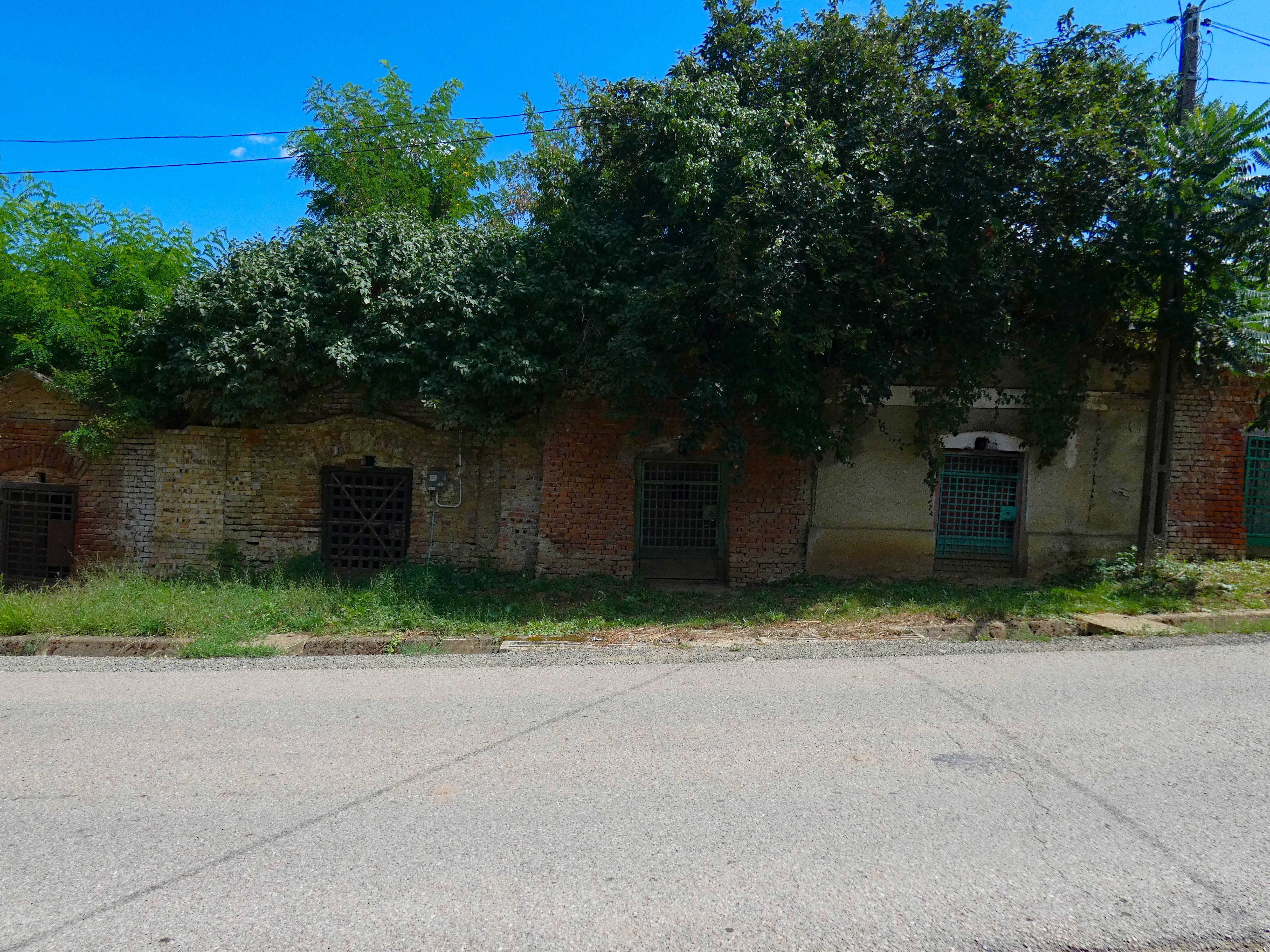 A snapshot of history in the crumbling brick and wild overgrowth