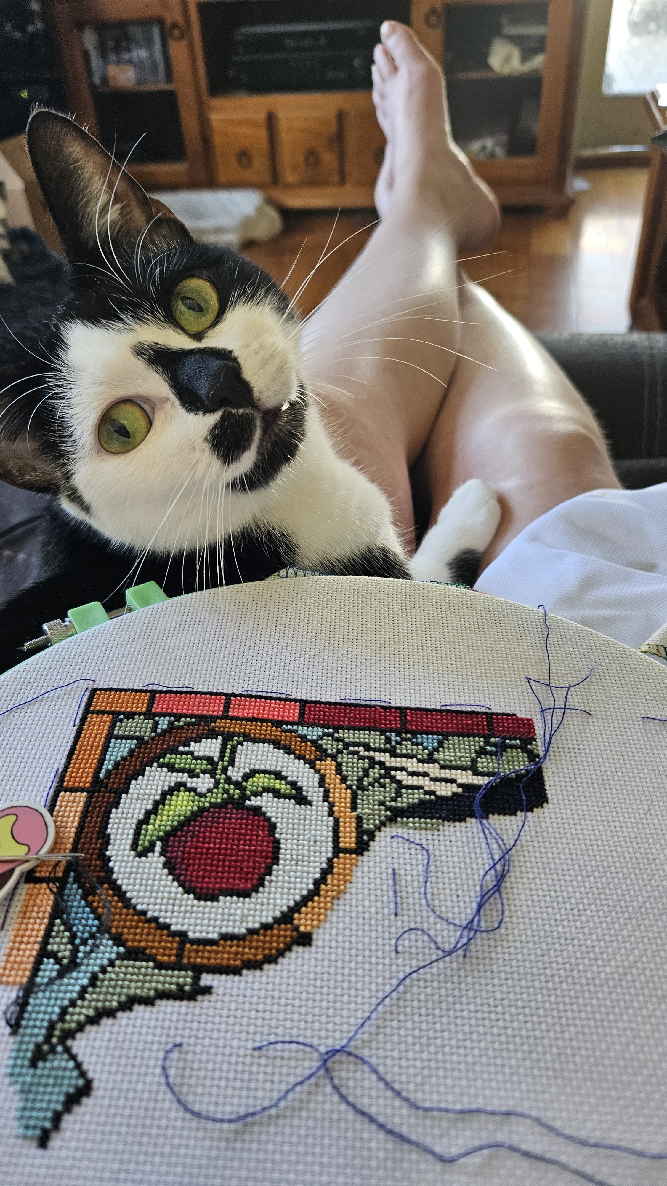 Crafting Time: More Cross Stitching with Nyx the Lap Cat