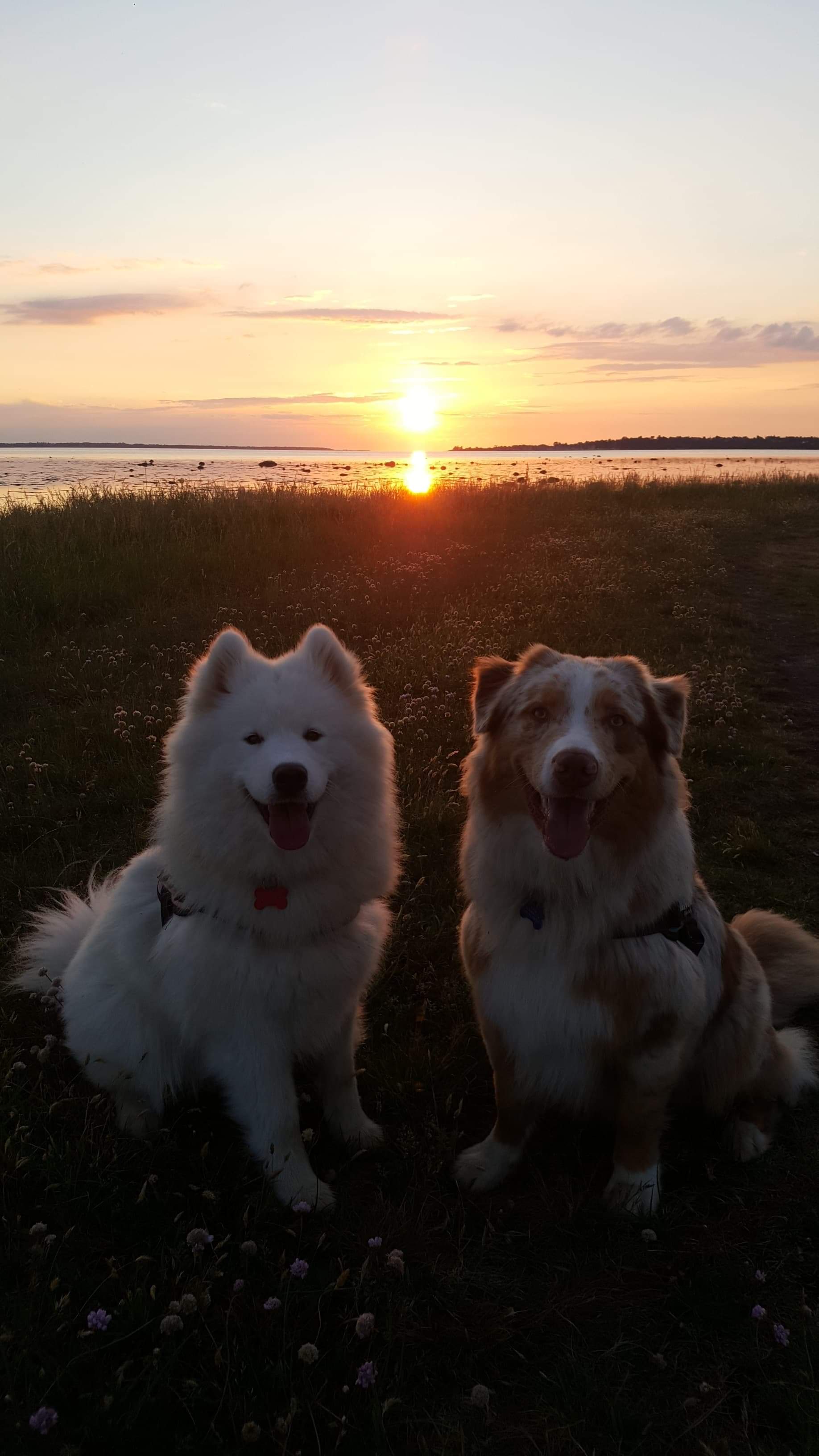 The Dynamic Duo: Khione and Atlas