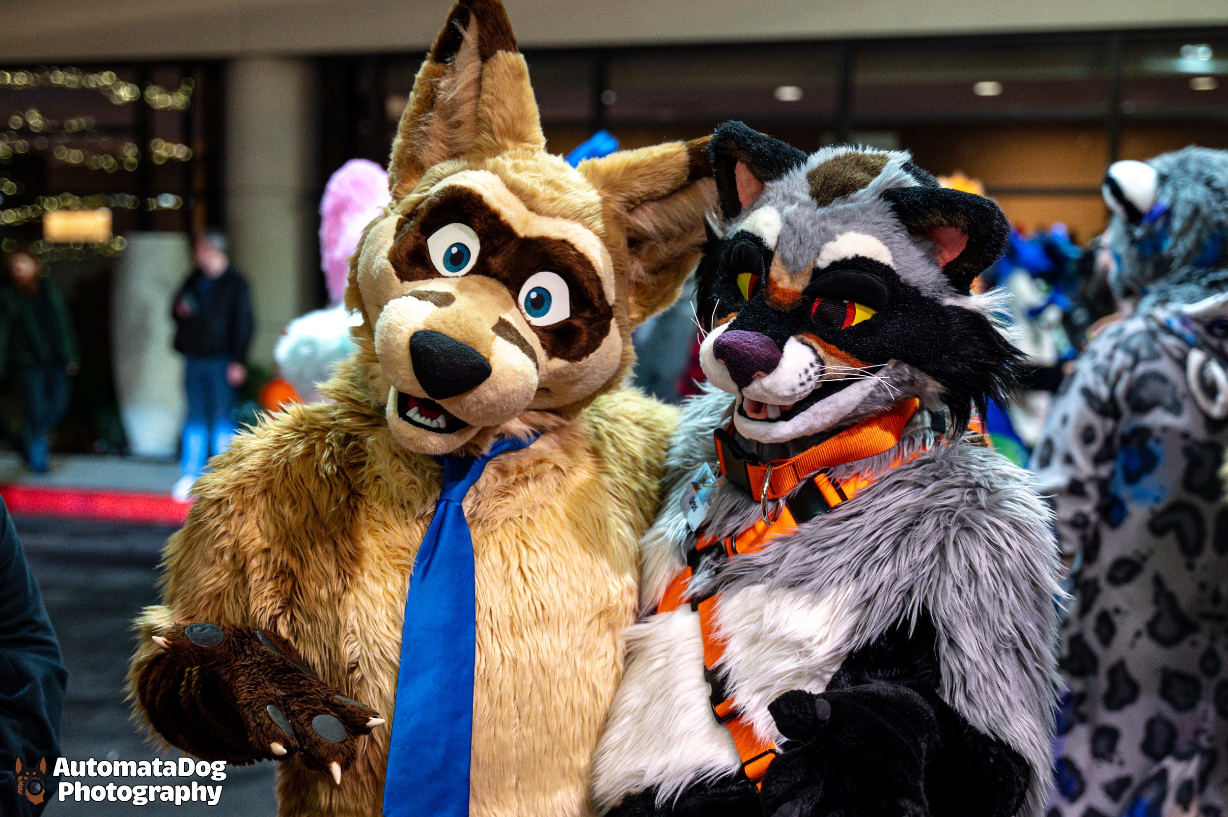 Daily Snap from a Furry Photographer - Day 406