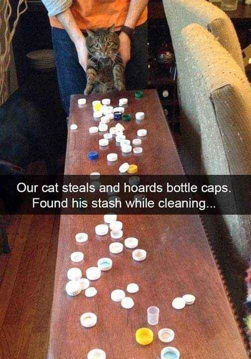 It's Been Ages Since I Shared Any Funny Images!