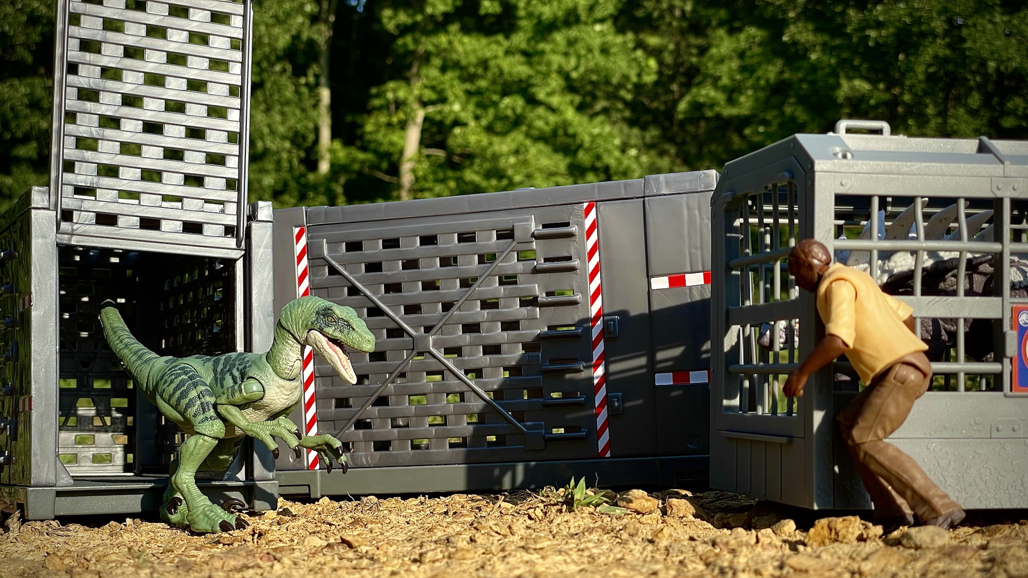 When the cage door just won't cooperate