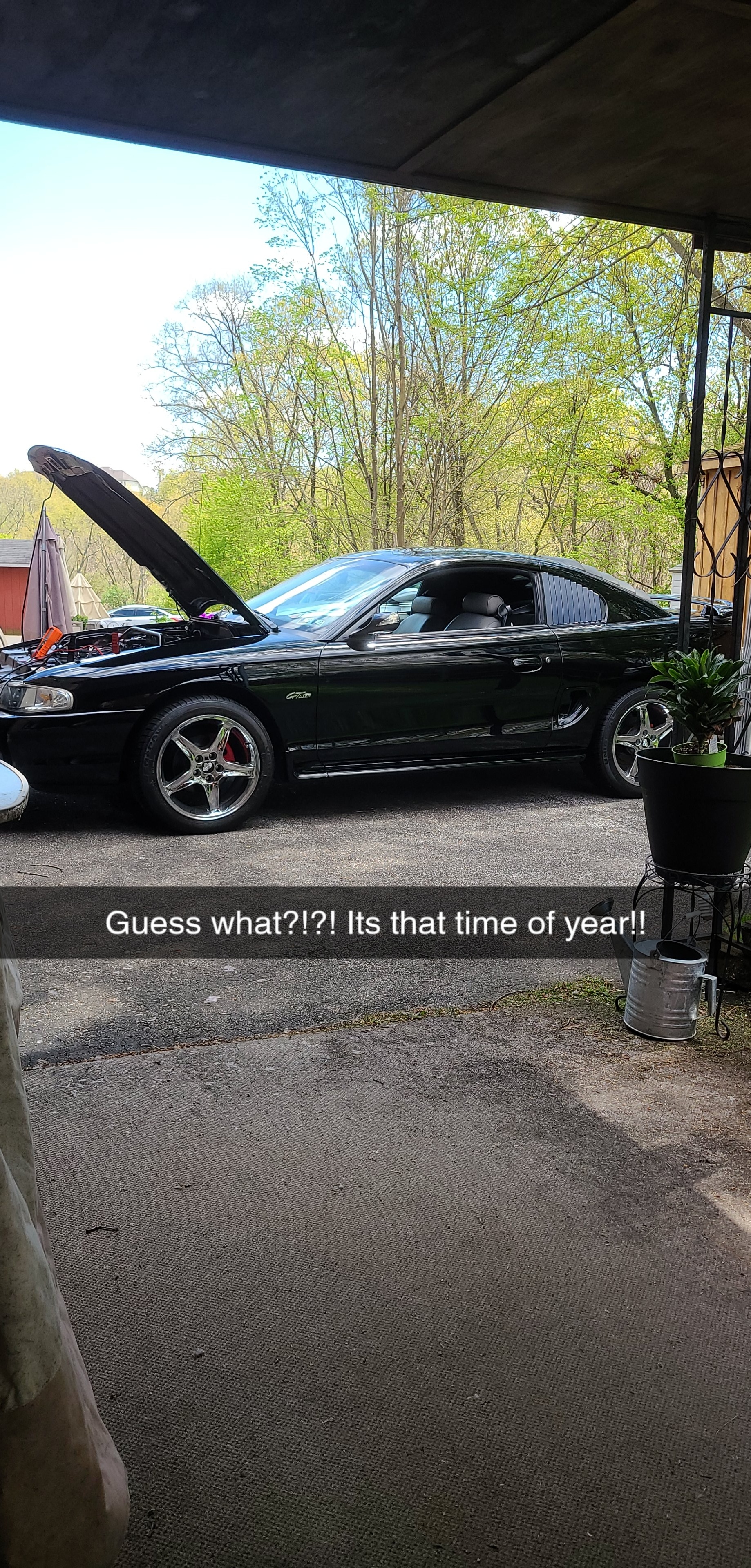 The Legendary 1997 Mustang: A Classic Ride