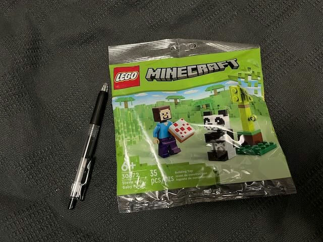 Build Your Own Adventure with LEGO Minecraft: 35 Pieces for Ages 6 and Up