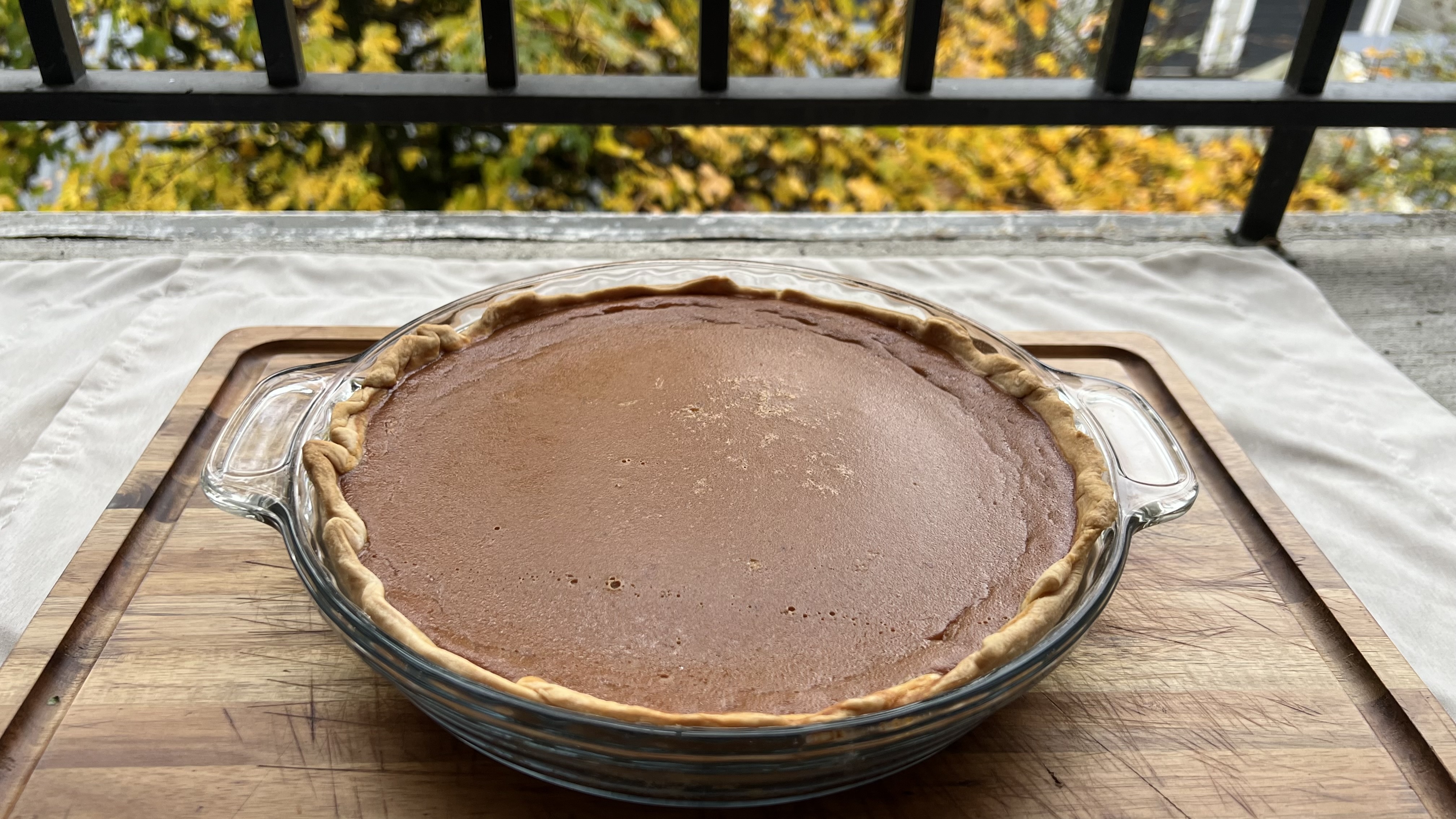 Just a cool pie enjoying the PNW vibes!