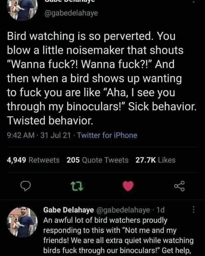 The Internet's Hilarious Take on Birdwatching