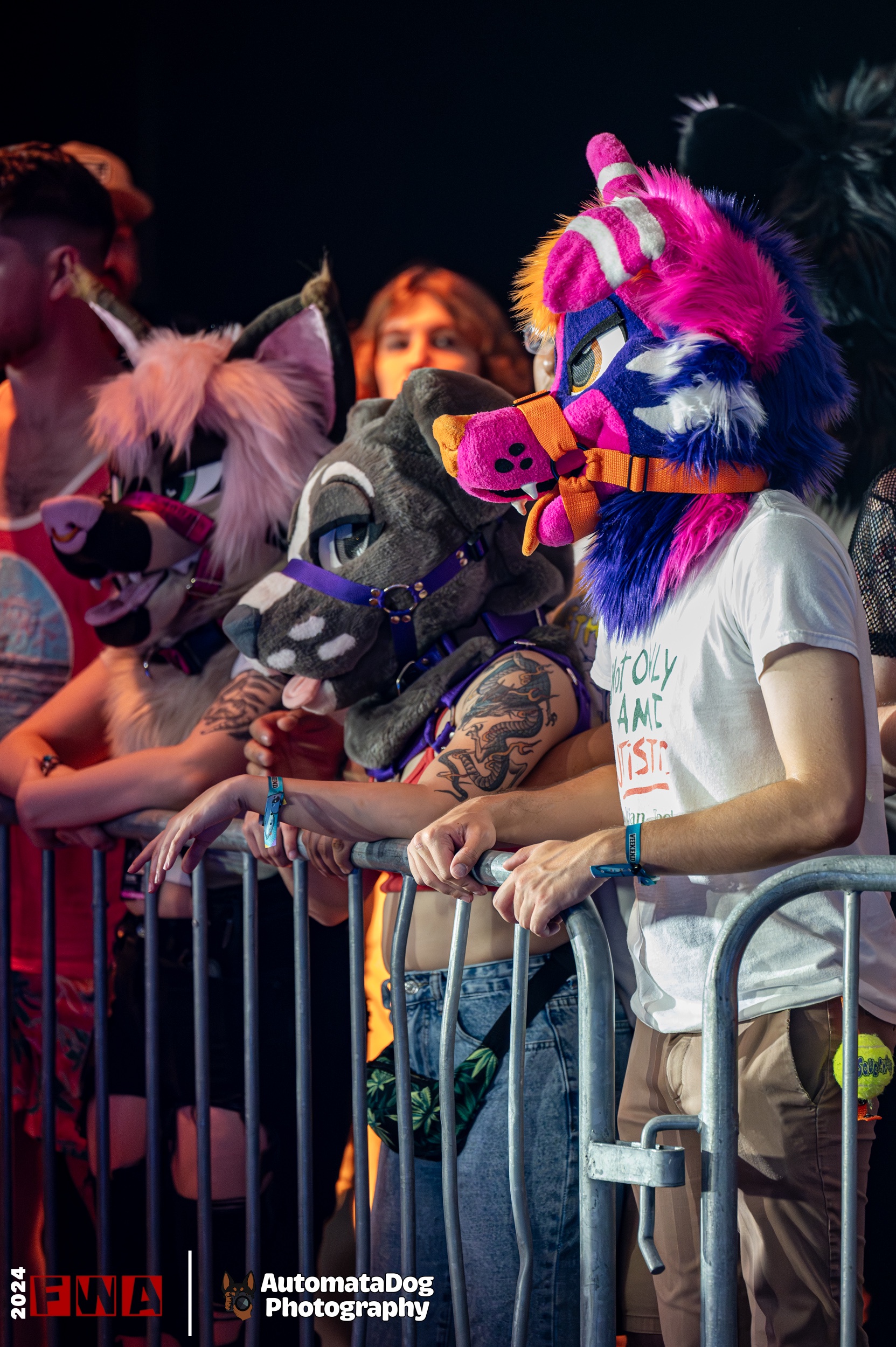Furry Photographer's Daily Snap - Day 398