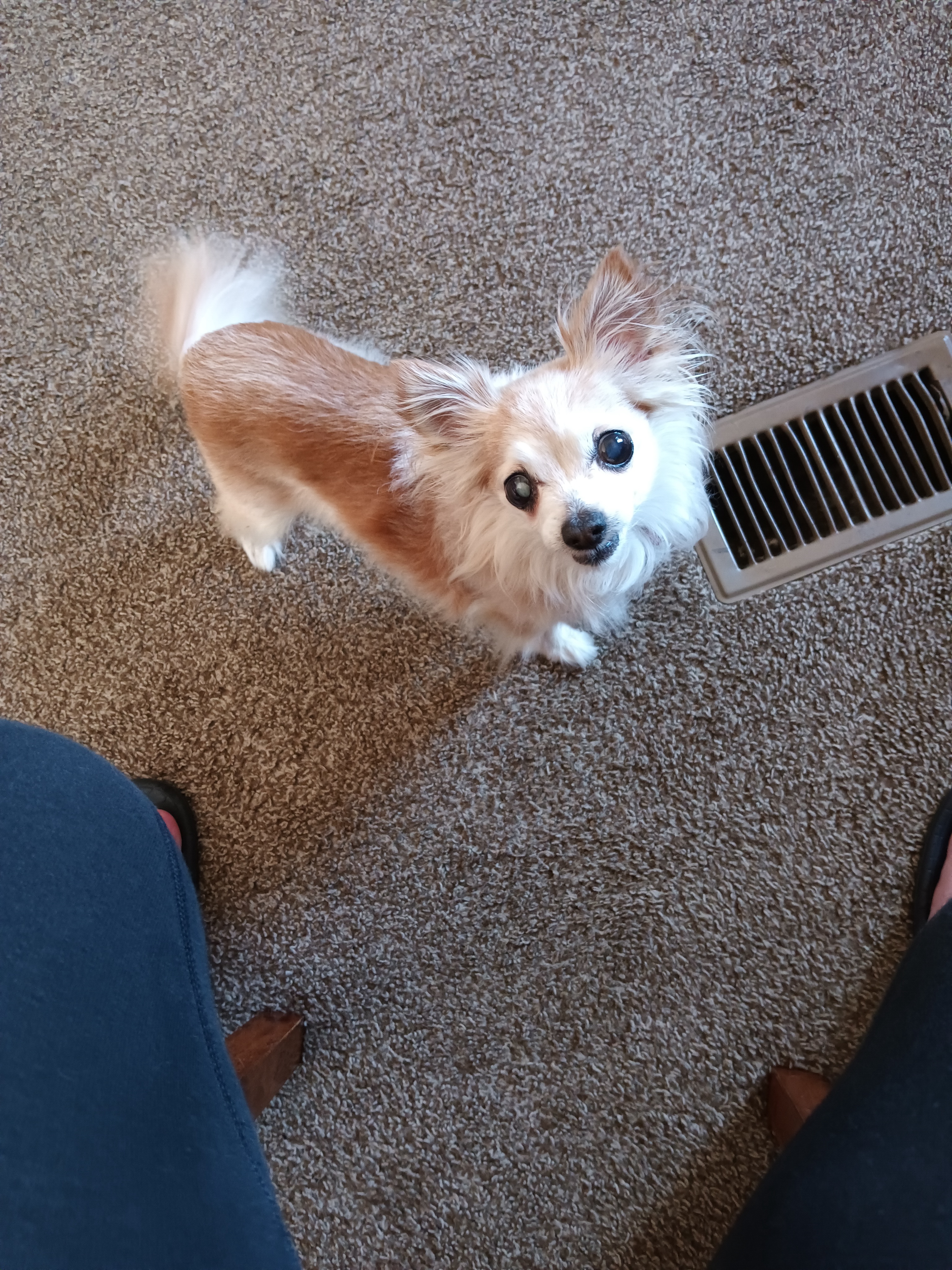 She Came Home Today with Surprising News