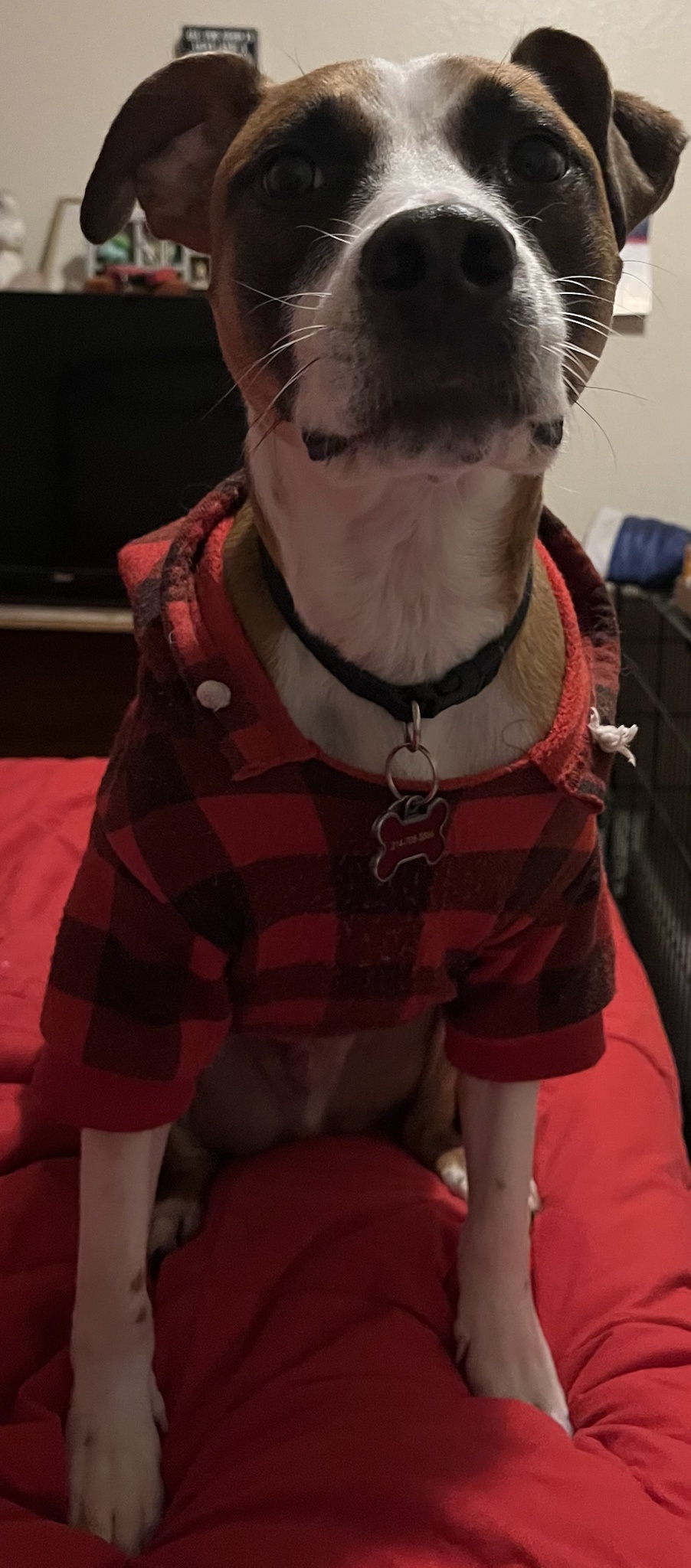 Wishing Everyone a Cozy and Warm Day!