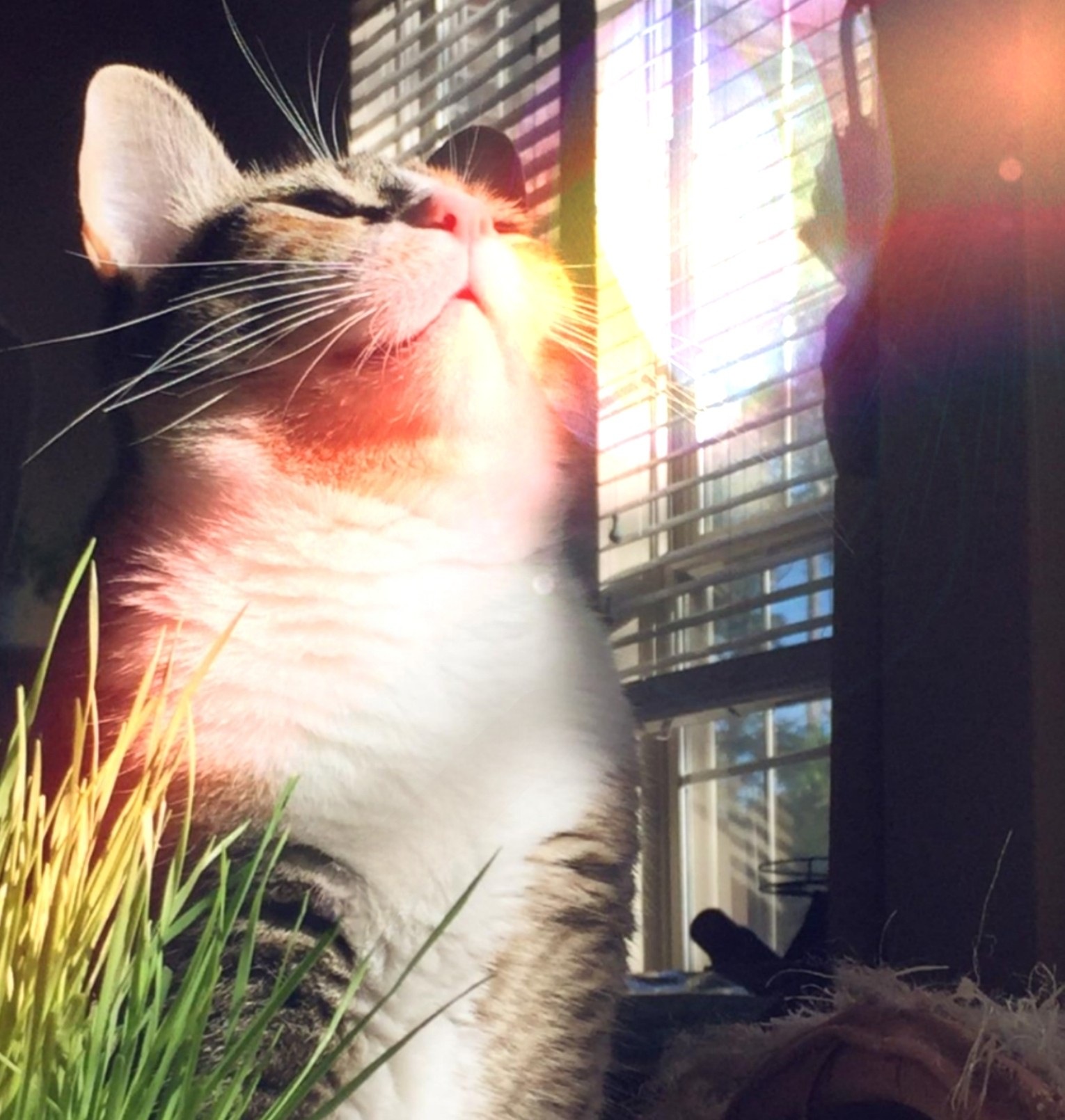 Enjoying a Perfect Day Under the Sun