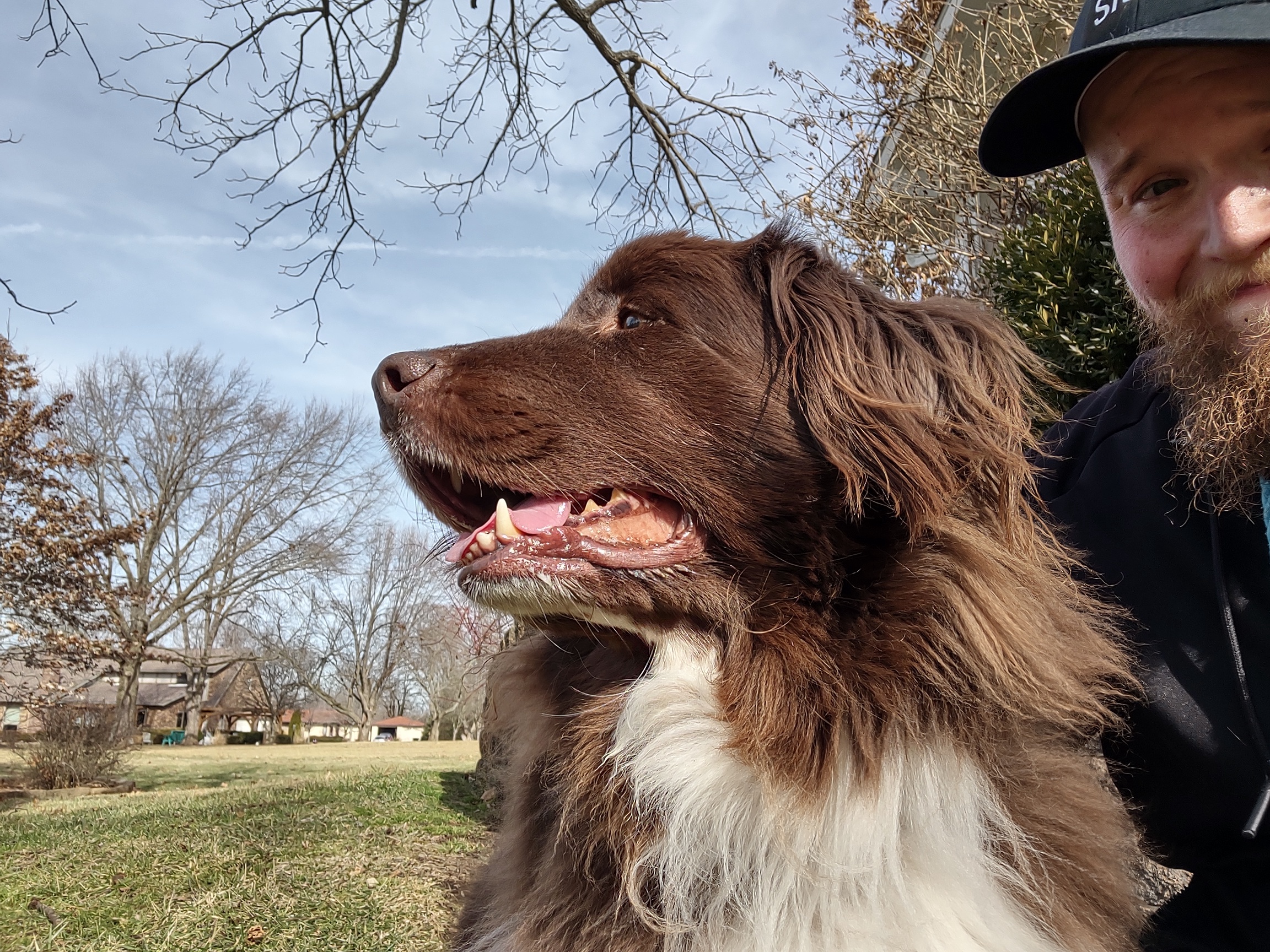 A Perfect 63°F in February: Ideal for a Stroll