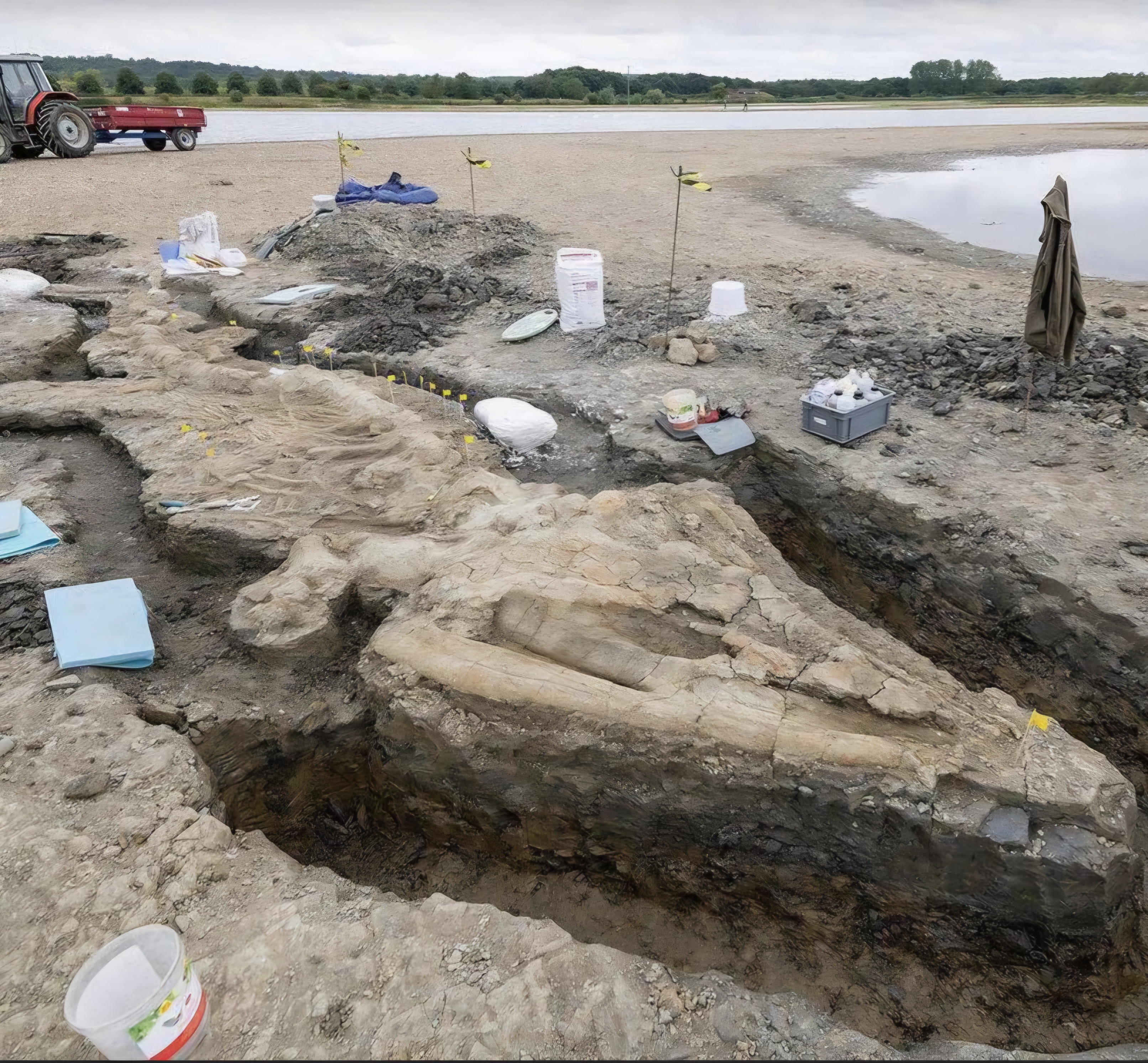 Icthyosaur Discovery in Rutland, England: A Paleontological Surprise!