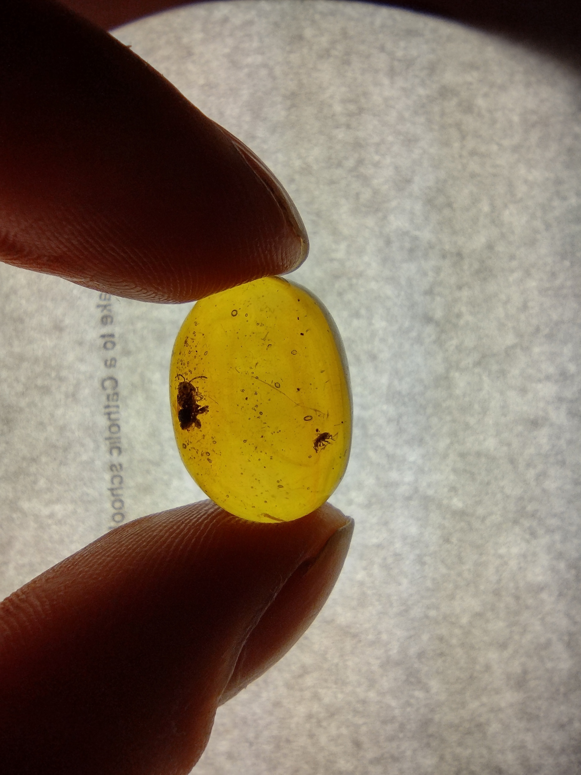 Amber Piece: A Colorful Puzzle