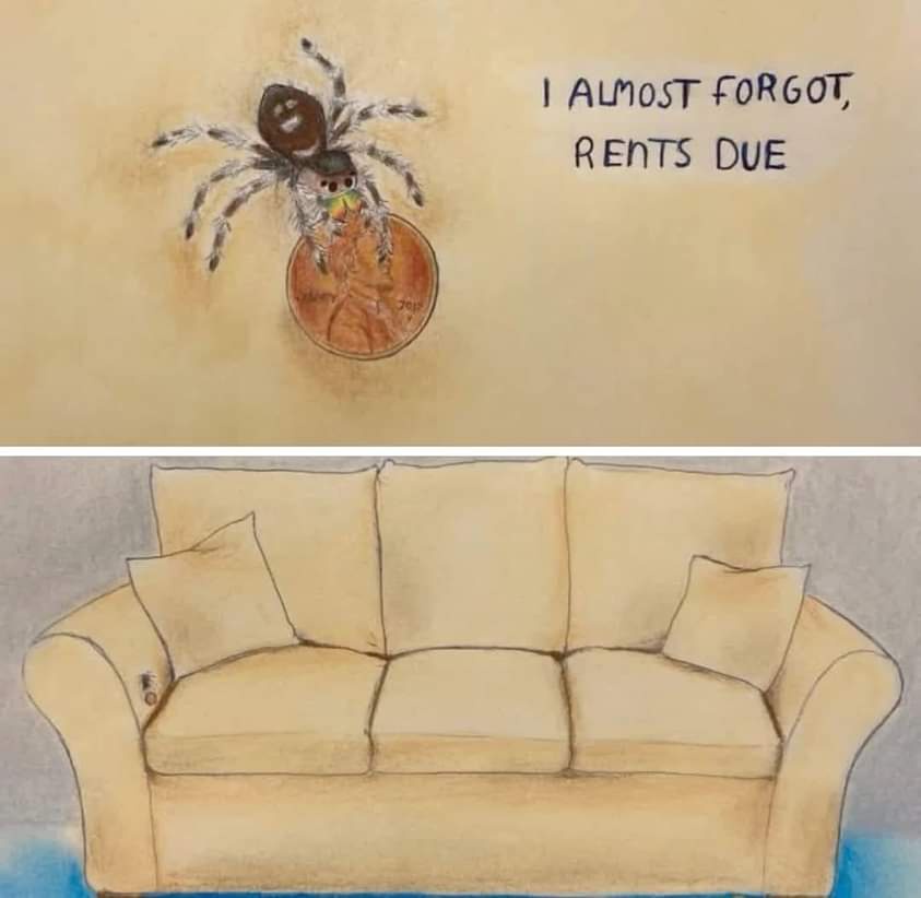 The unexpected rent you find in your couch: Spider edition