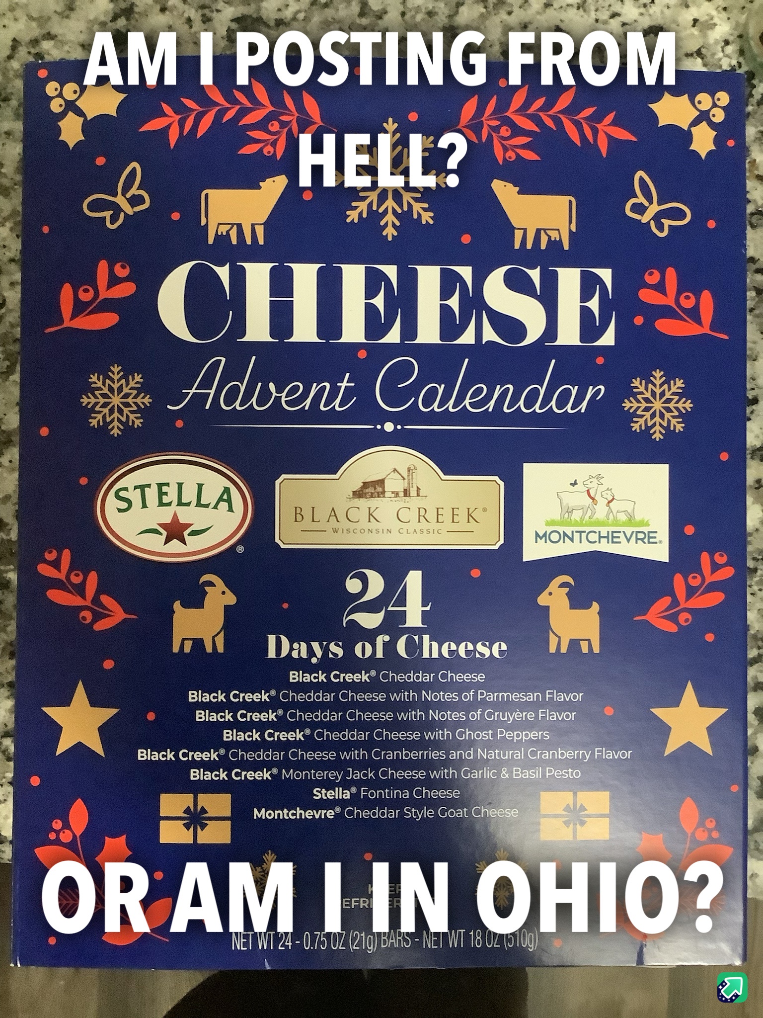 Day 10 of the Cheese Advent Calendar: A Toast to the Journey Ahead