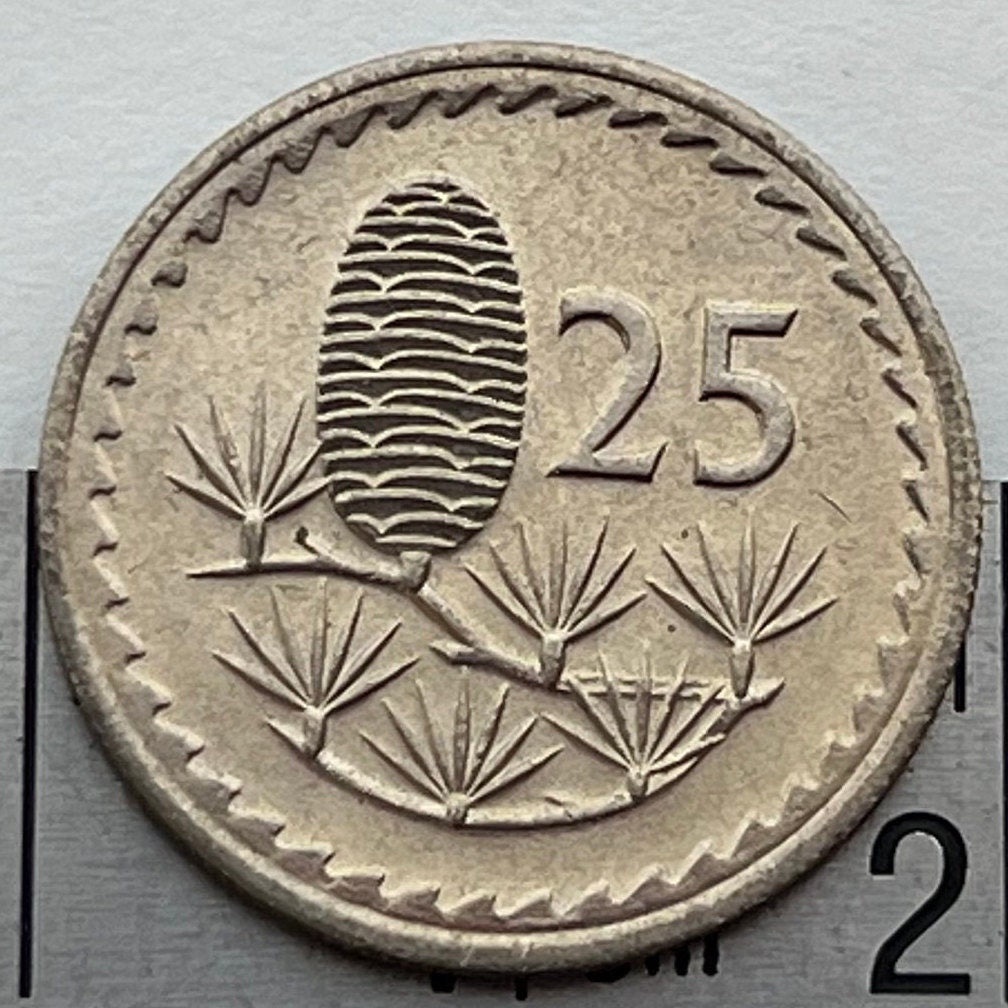 A Glimpse of History: 25 Mils Coin from Cyprus, 1960