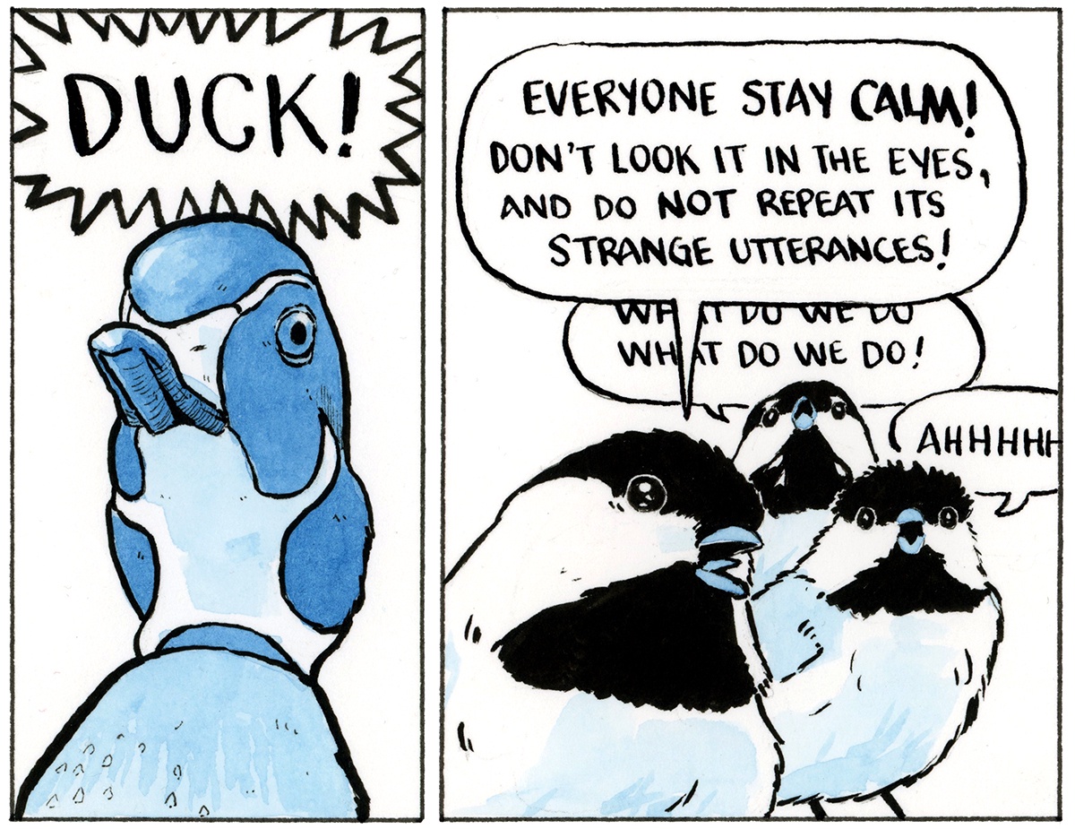 Watch out! DUCK!