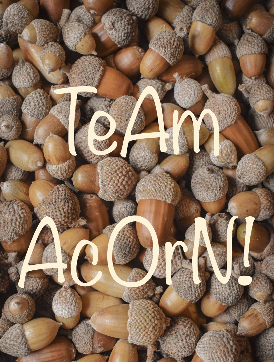 Go Team Acorn!