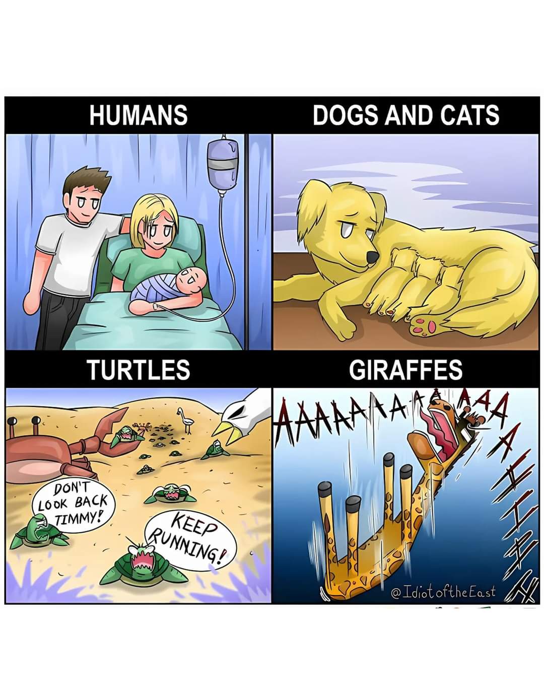 The Unending Circle of Life