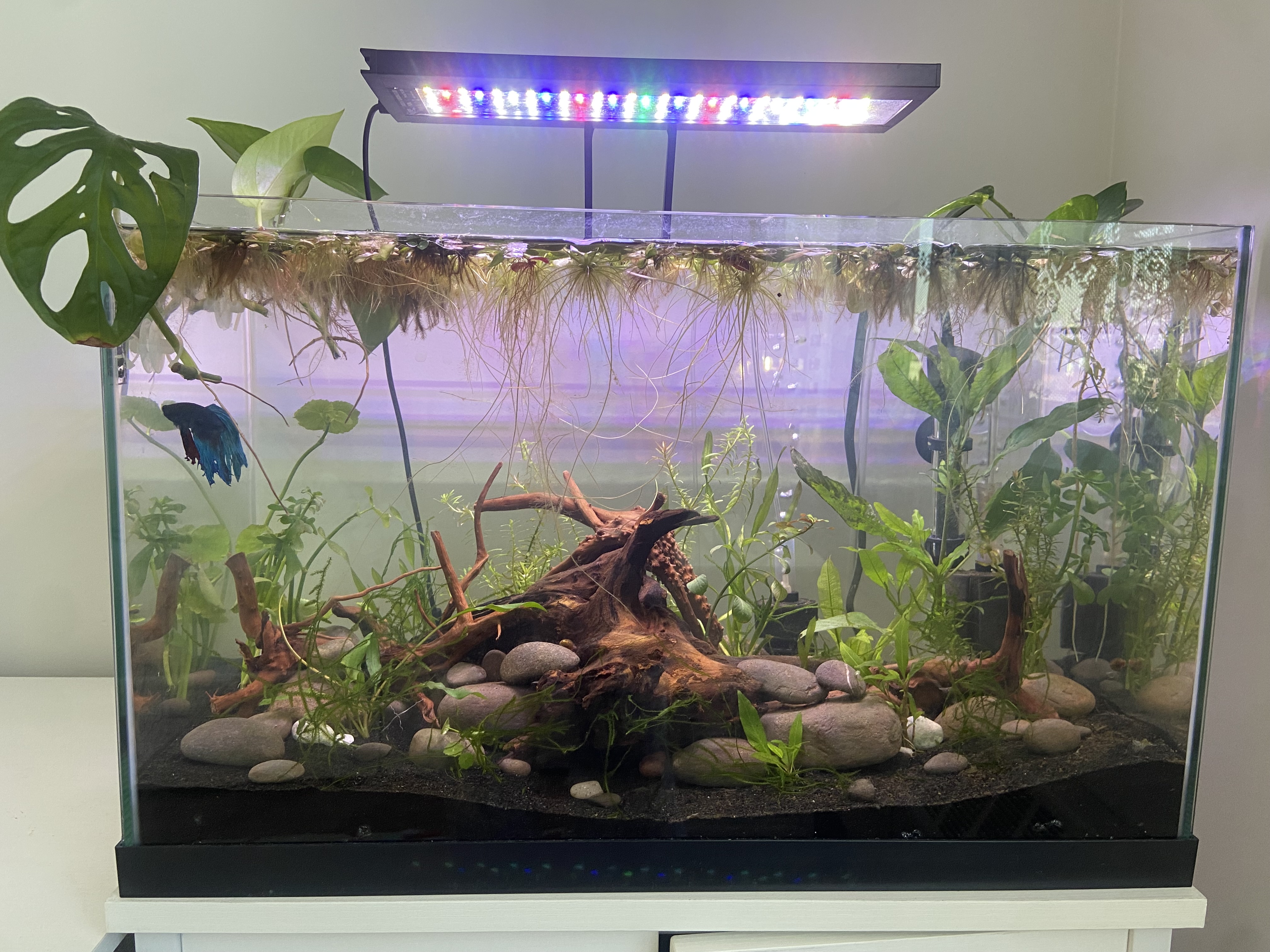 The Mighty Tank: A Symbol of Power