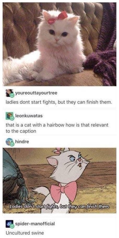 The Charming World of Aristocats