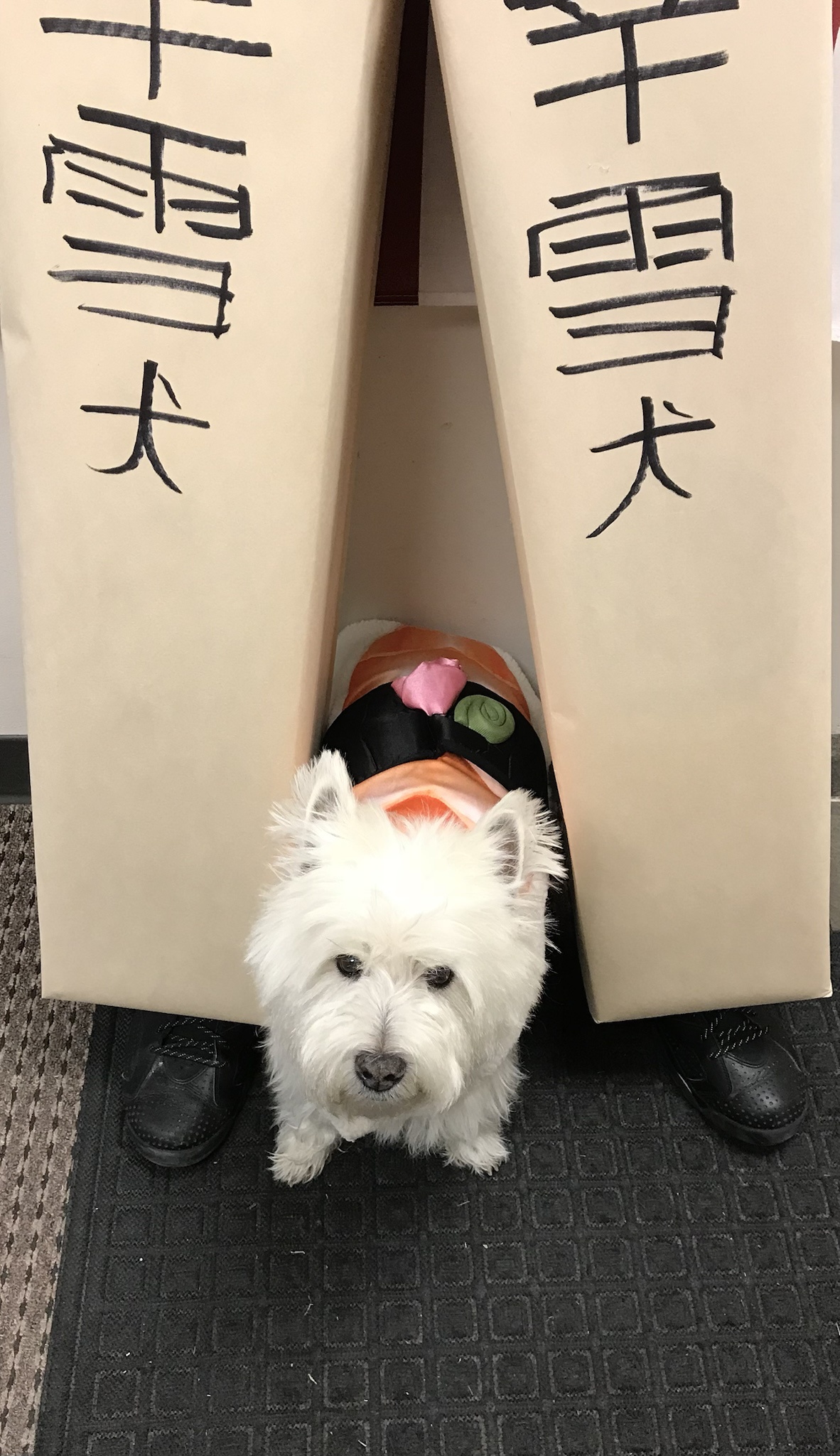 Me and Lil as the perfect duo: Chopsticks and Sushi! Happy Snow Dog, my ultimate favorite combo every day.