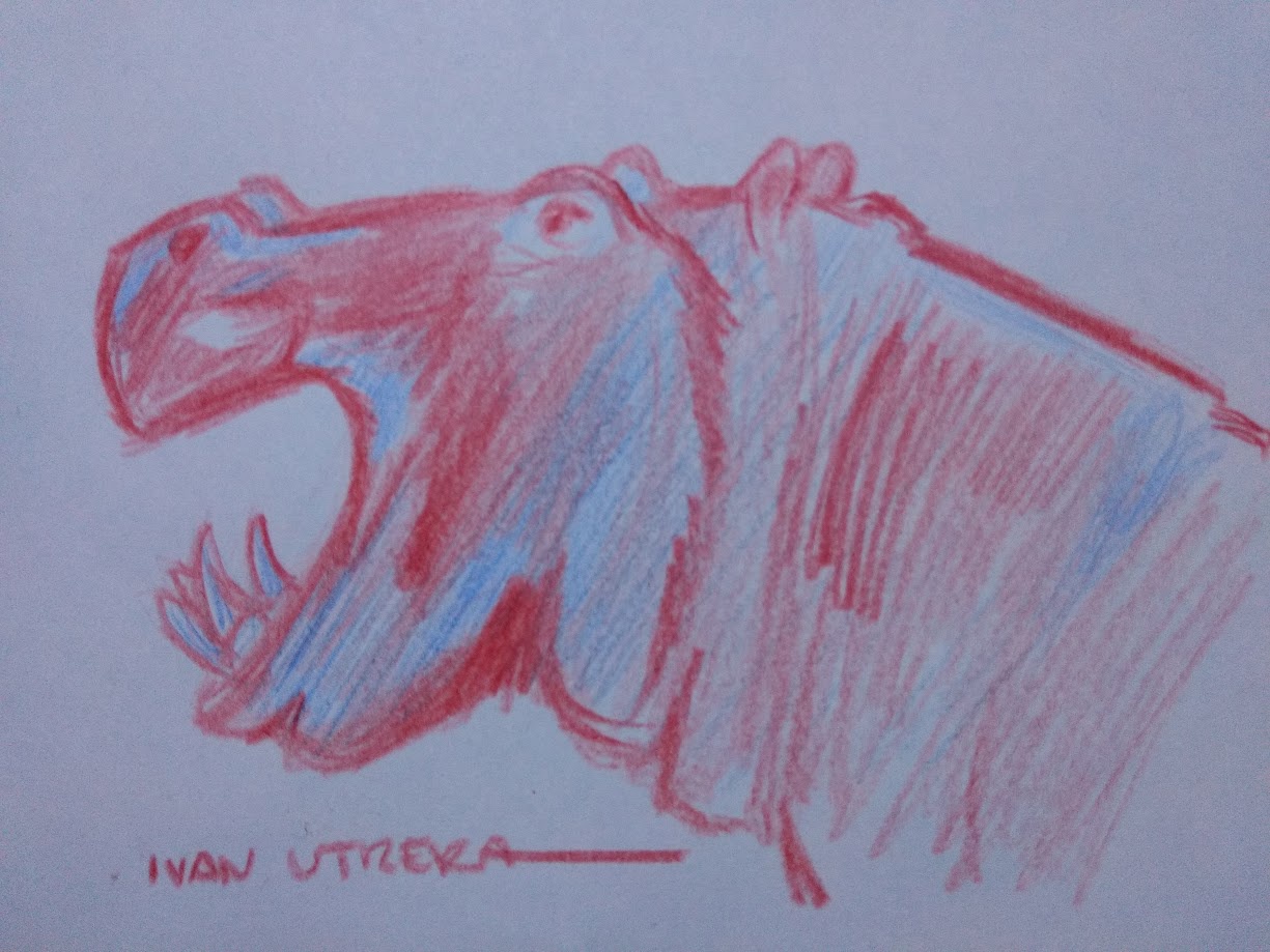 The Adorable Hippo: Nature's Gentle Giant