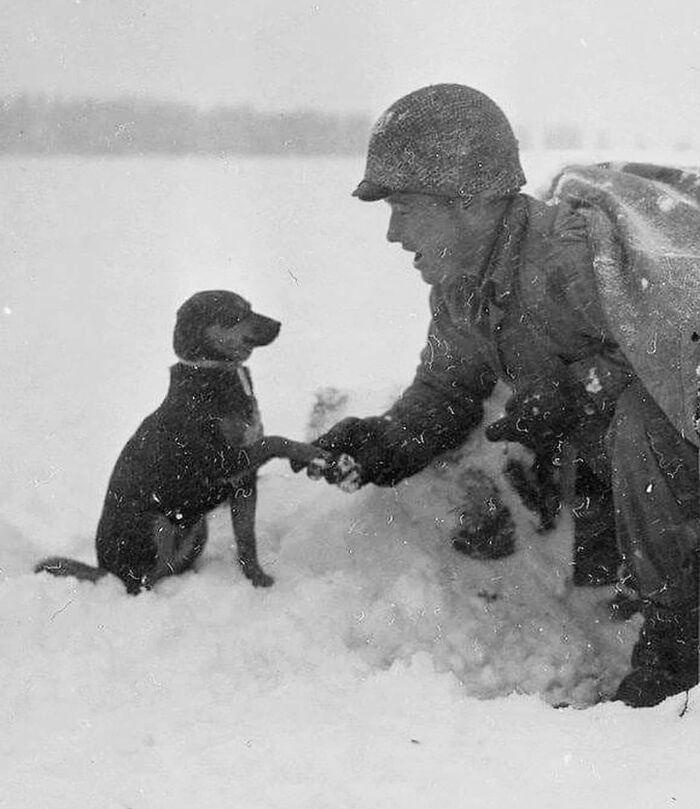 A Heartwarming Moment: US Soldier and Dog Unite in Luxembourg, 1944