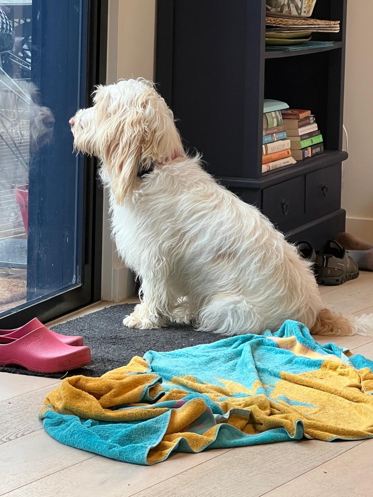 Frankie is eagerly waiting for your arrival.