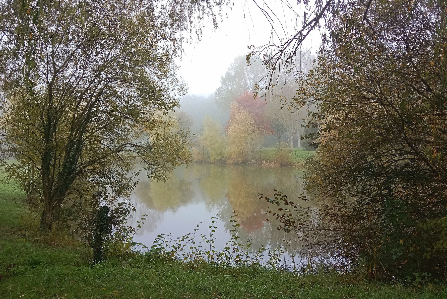 Exploring the Beauty of Parc de la Gorande in France's Vienne Department
