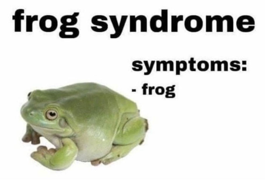 A Frog's Emotional Journey: Too Many Feelings to Handle