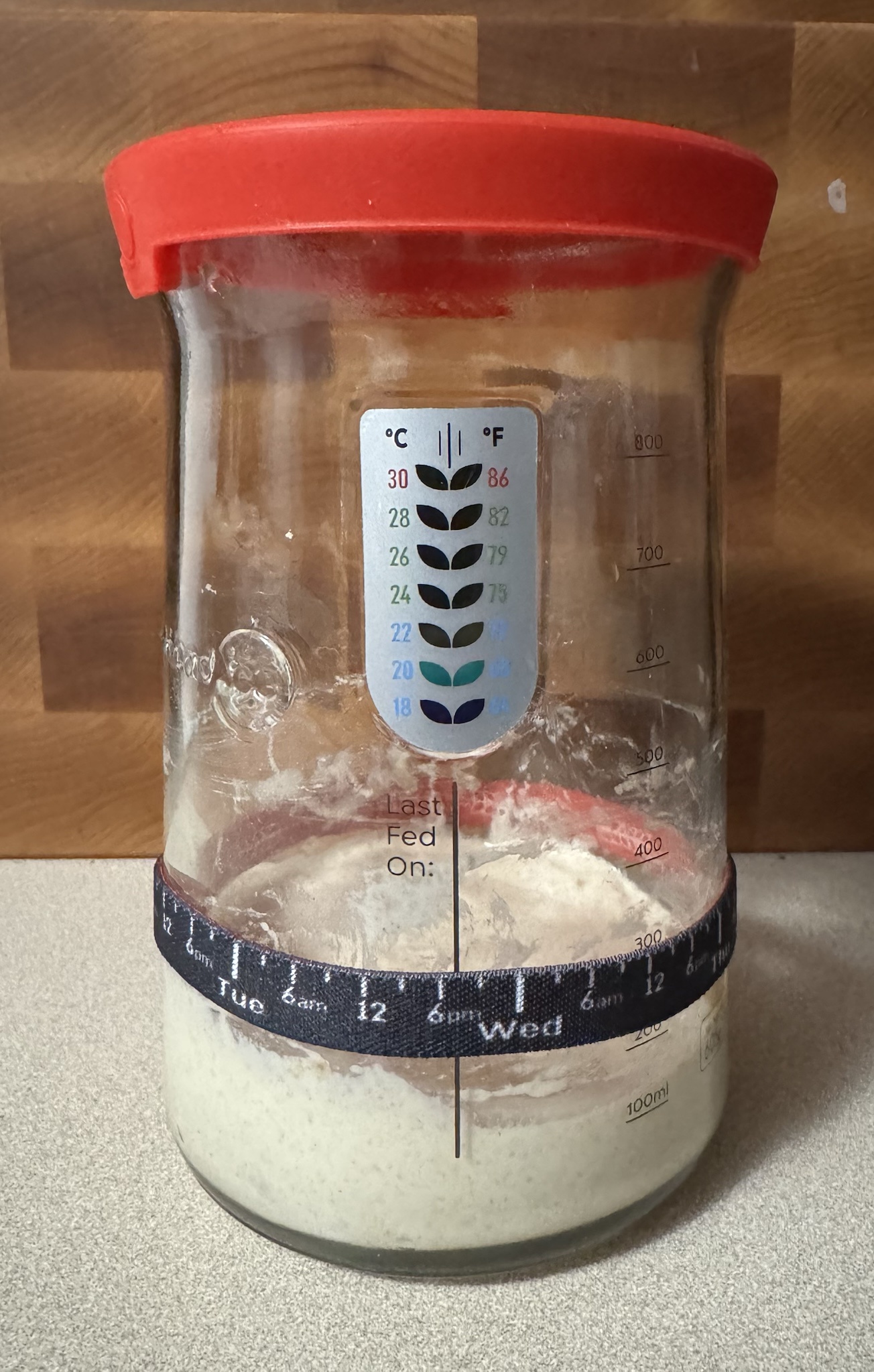 The Journey of My Sourdough Starter: Day 3