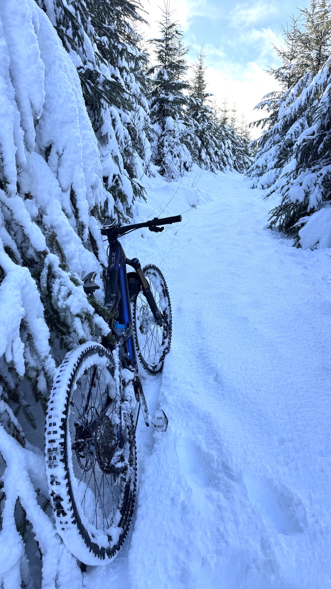 Introducing Degla: A Unique Perspective