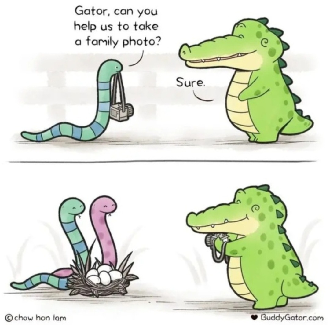 Meet My Charming Buddy Gator