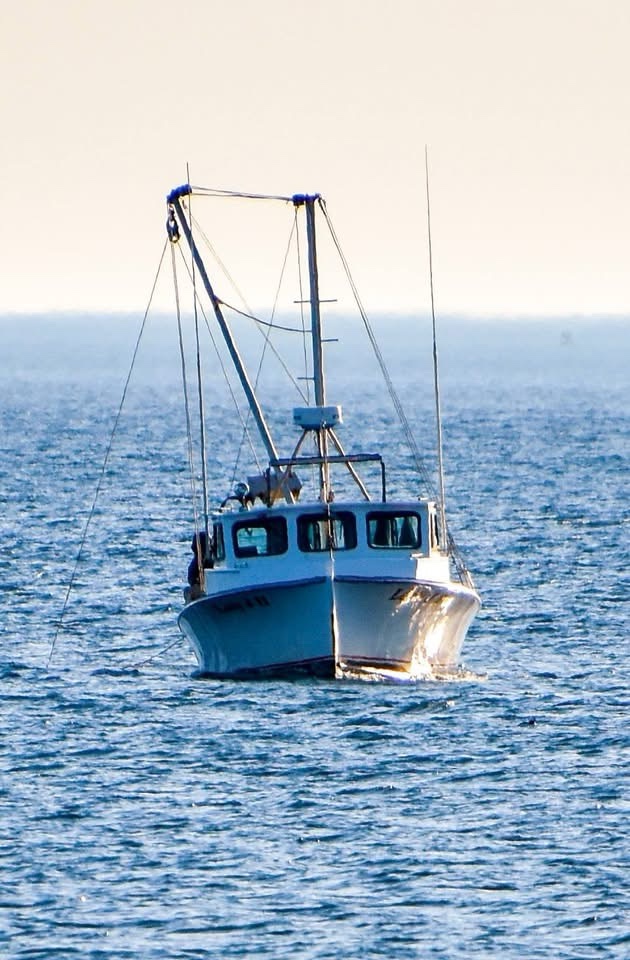 The Life of an Oyster Dredge Boat: A Maritime Adventure