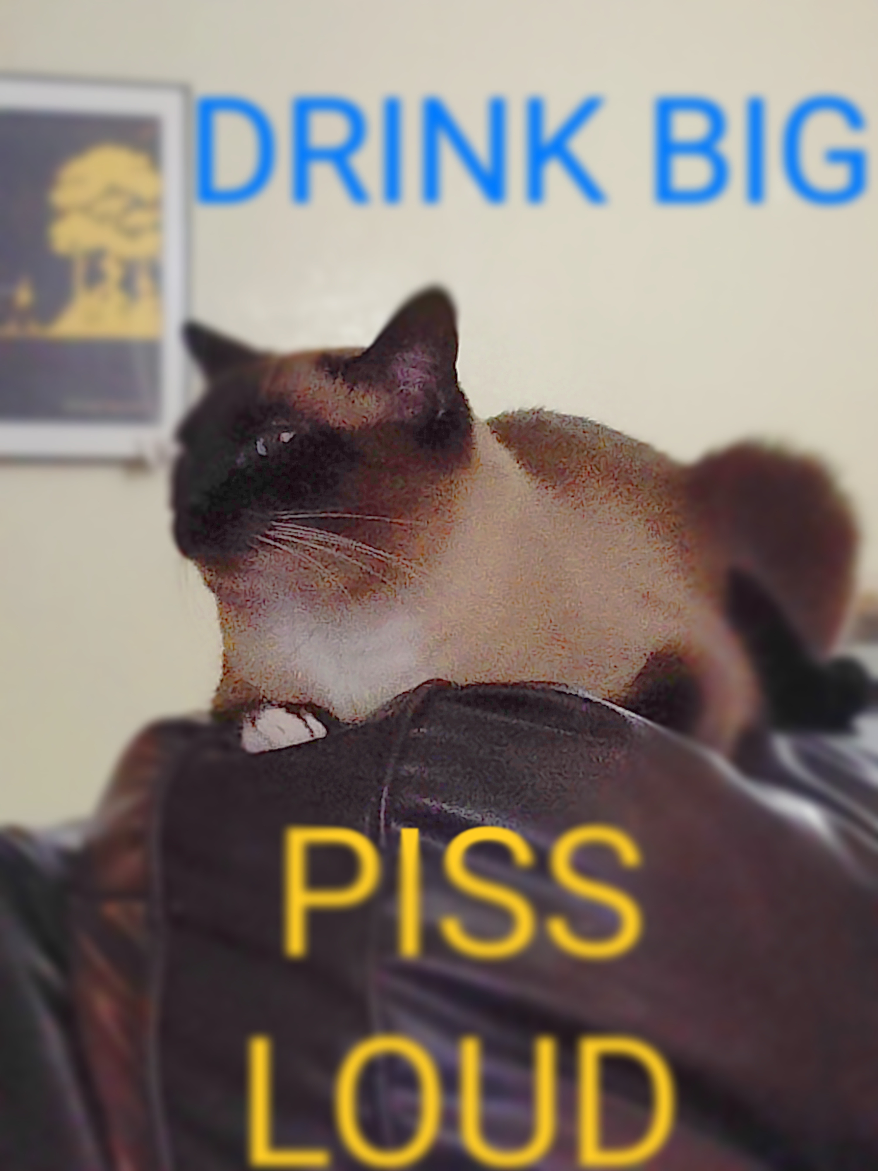 Don't forget to drink water, friends!