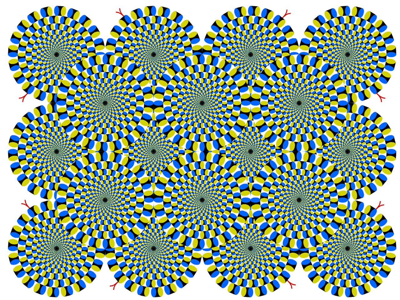 Akiyoshi Kitaoka's Mind-Bending Optical Illusions
