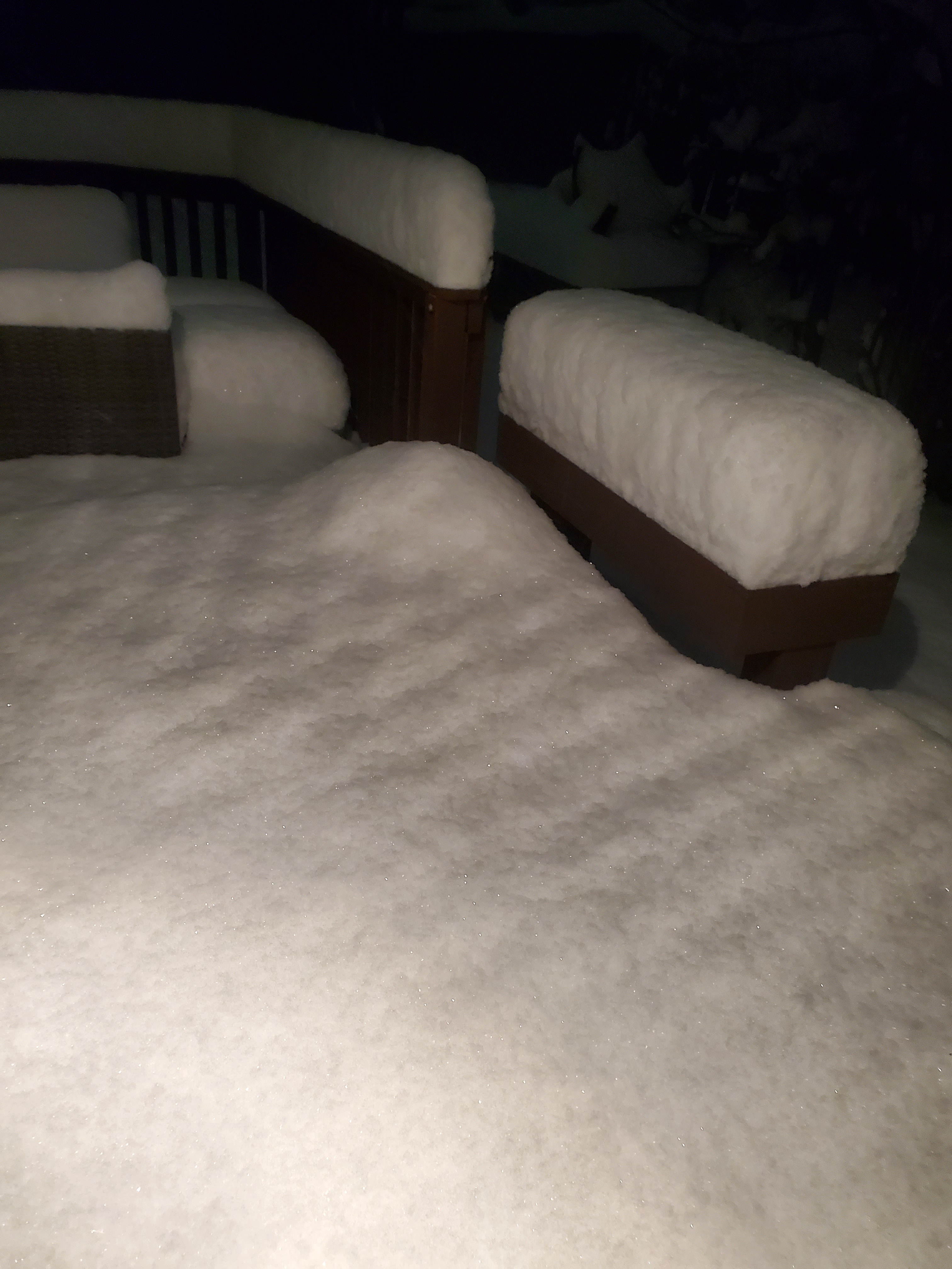 Winter Wonderland: The Beauty of Snow
