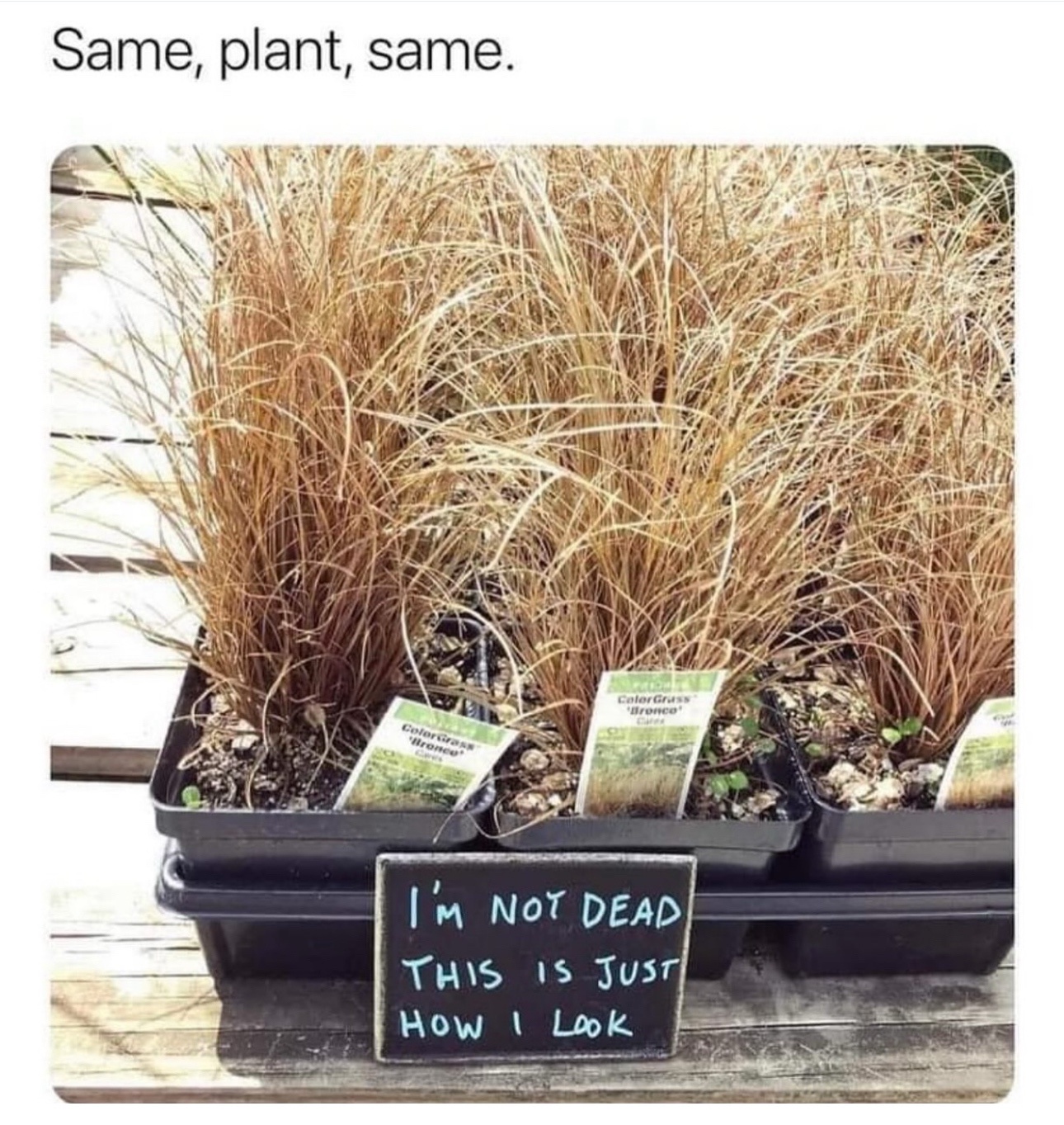 Feeling the Same Vibes