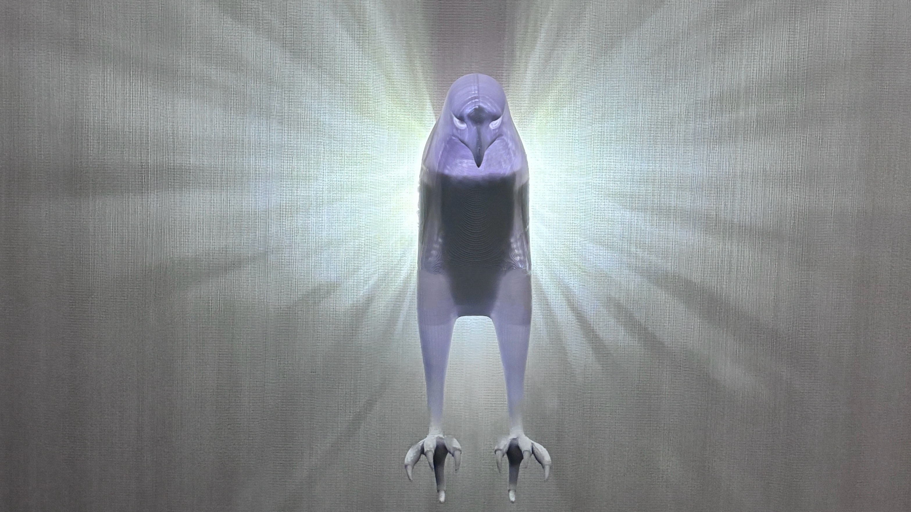 Innovative 3D Printed Hawk Light Wings