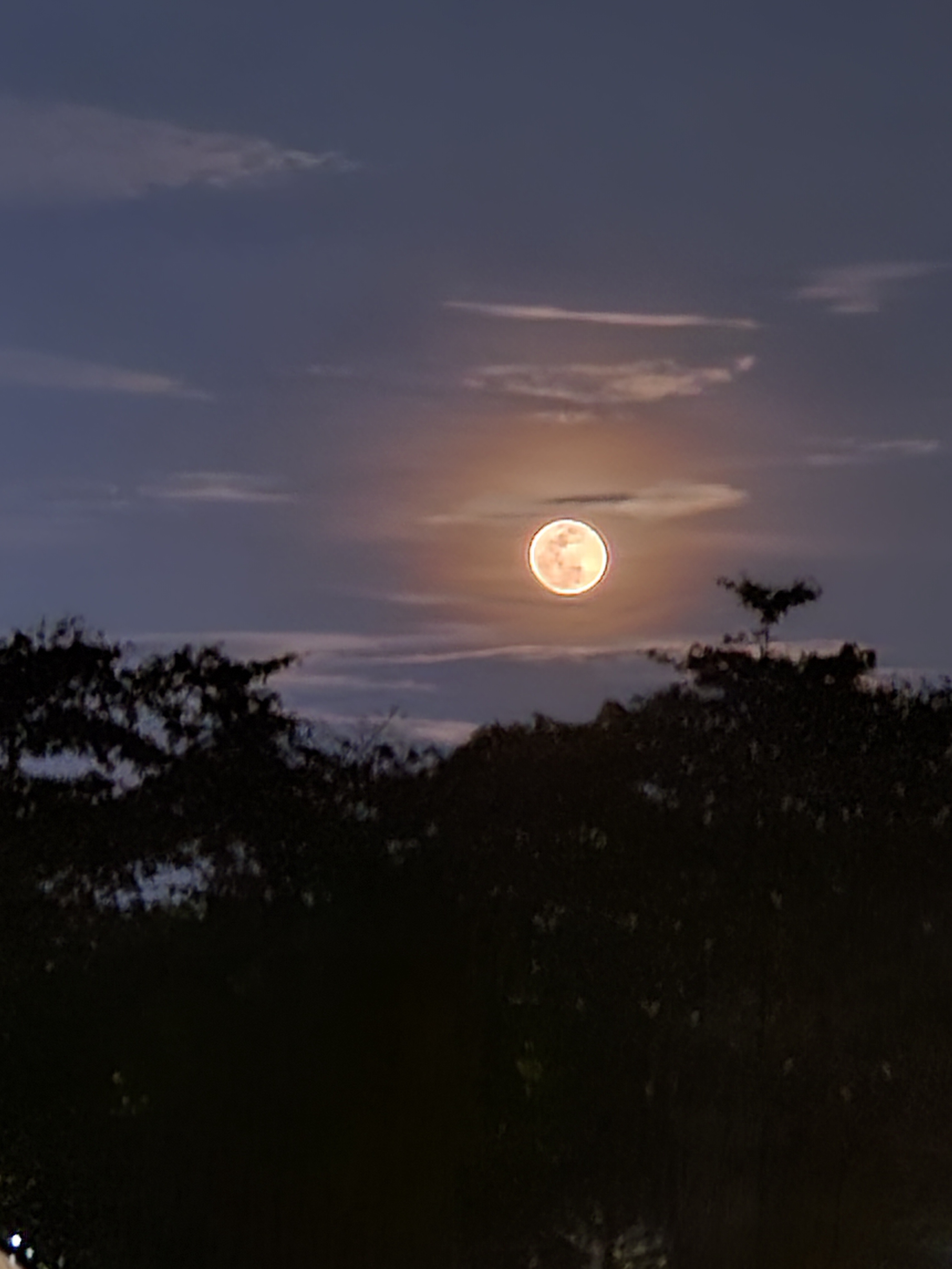 The Moon's Radiance After a Refreshing Rain