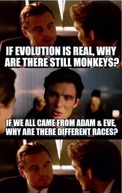Curious Minds Want to Know: Why Is That?