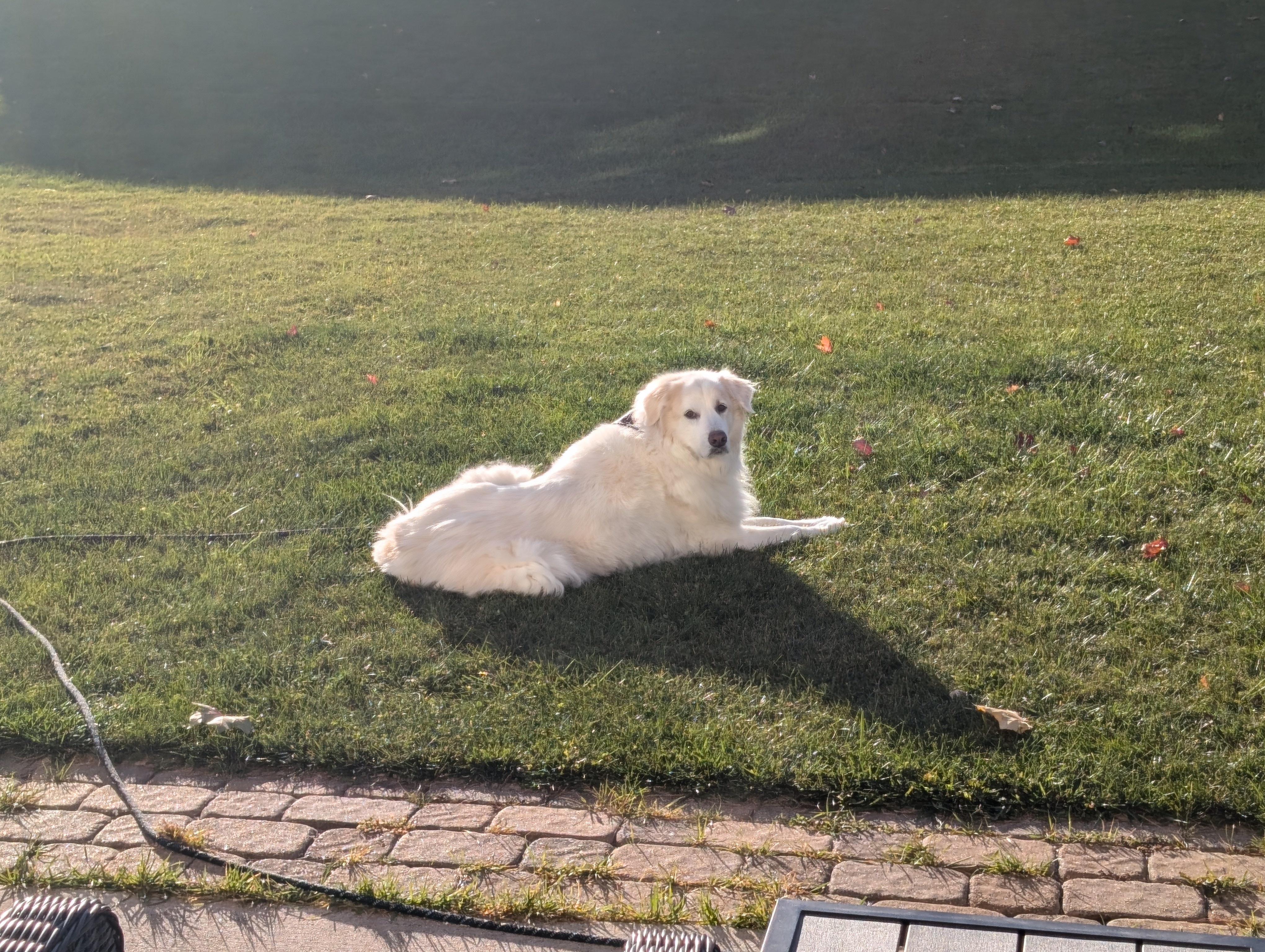 Winter Chronicles: Day 762 of the Chill