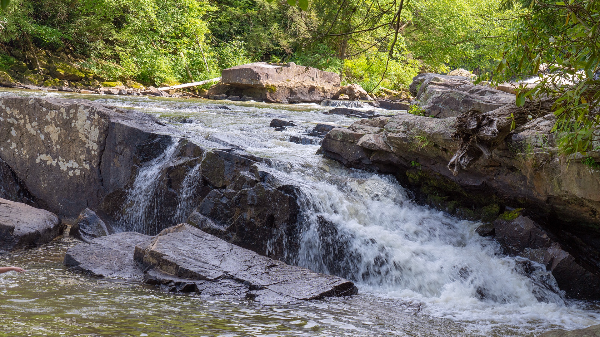 Adorable Little Waterfall